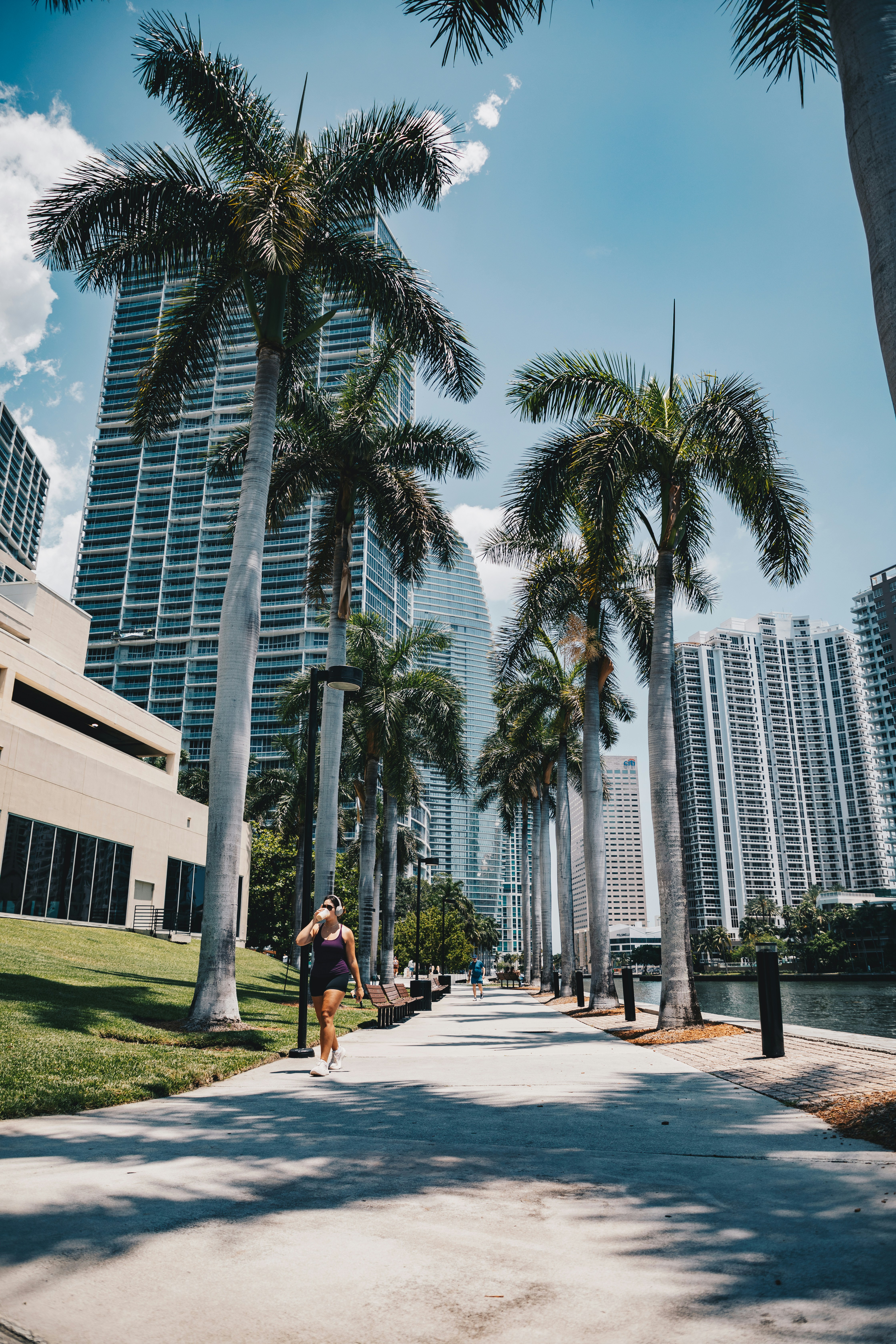Palmeras y edificios bordean un camino soleado.