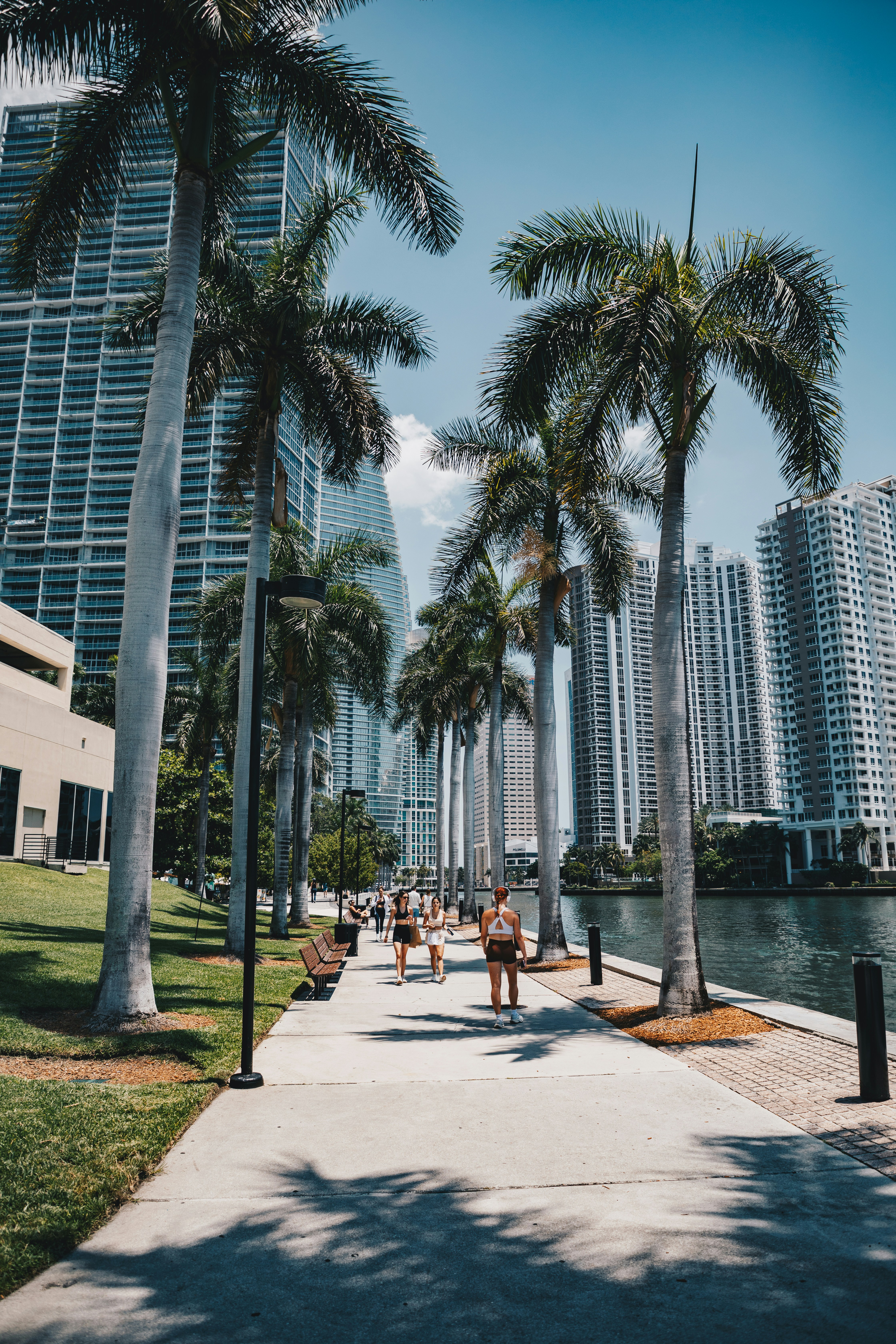 La gente pasea por un camino bordeado de palmeras.
