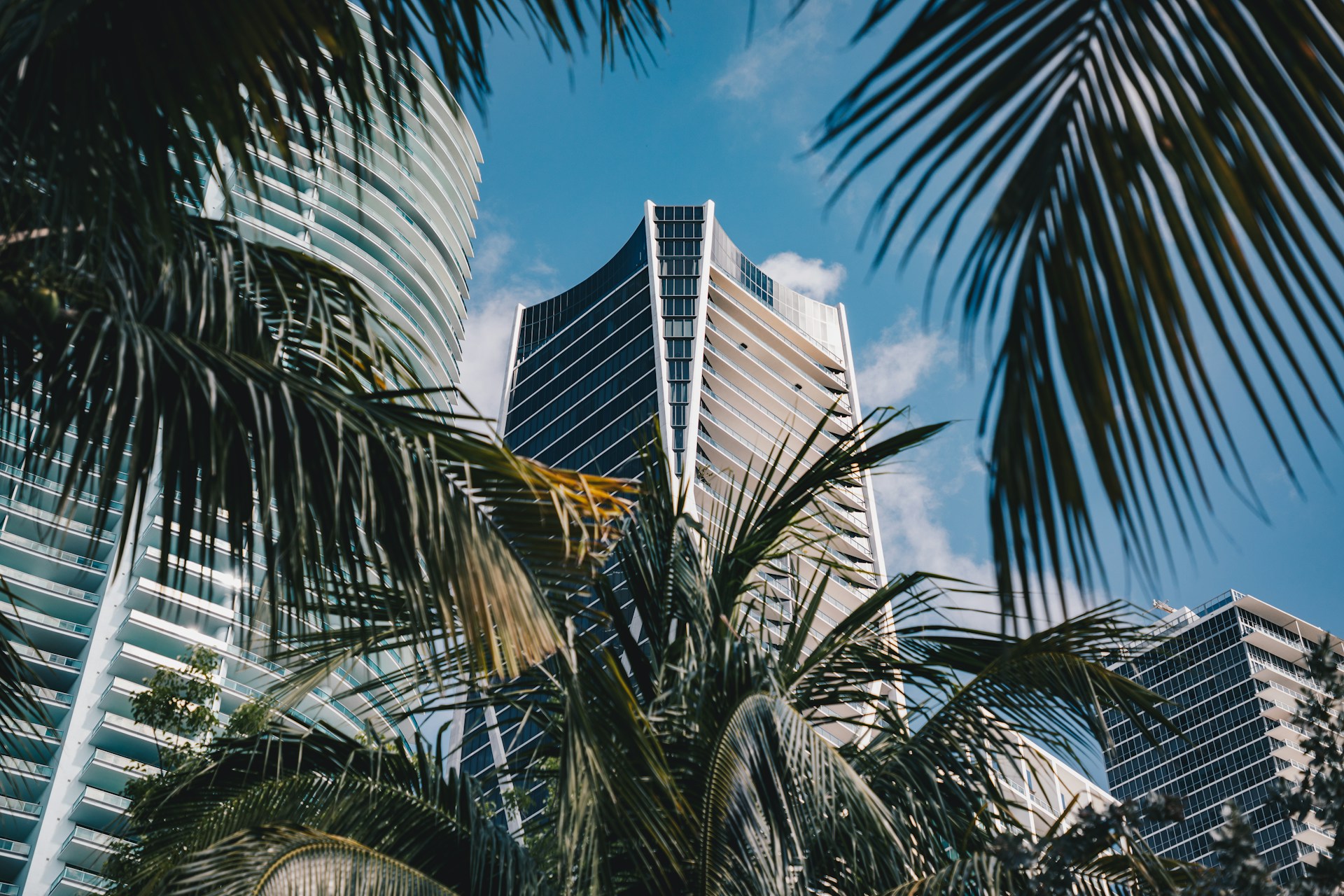 Palm trees frame skyscrapers against a blue sky.