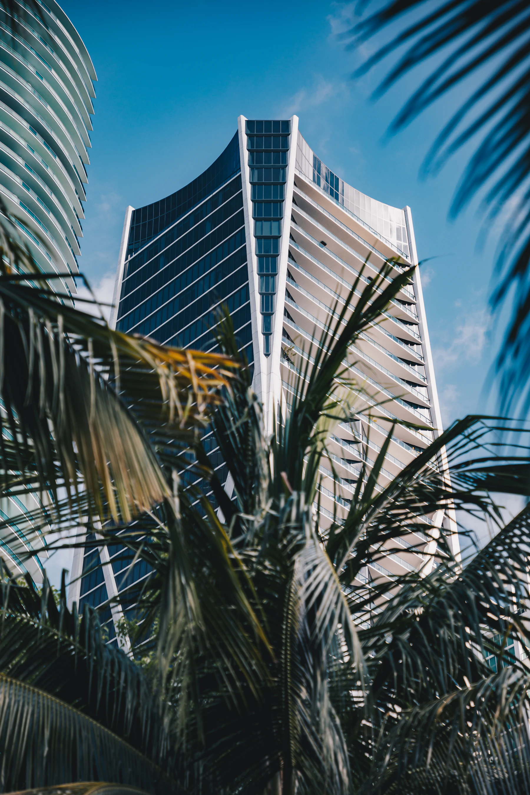 Palm trees framing a modern high-rise building in Miami, Florida