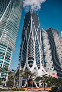 Modern skyscrapers tower over palm trees.