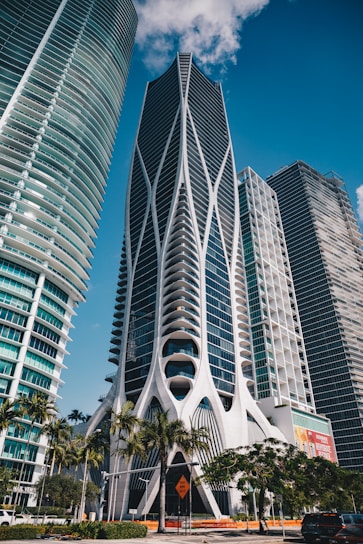Modern skyscrapers tower over palm trees.