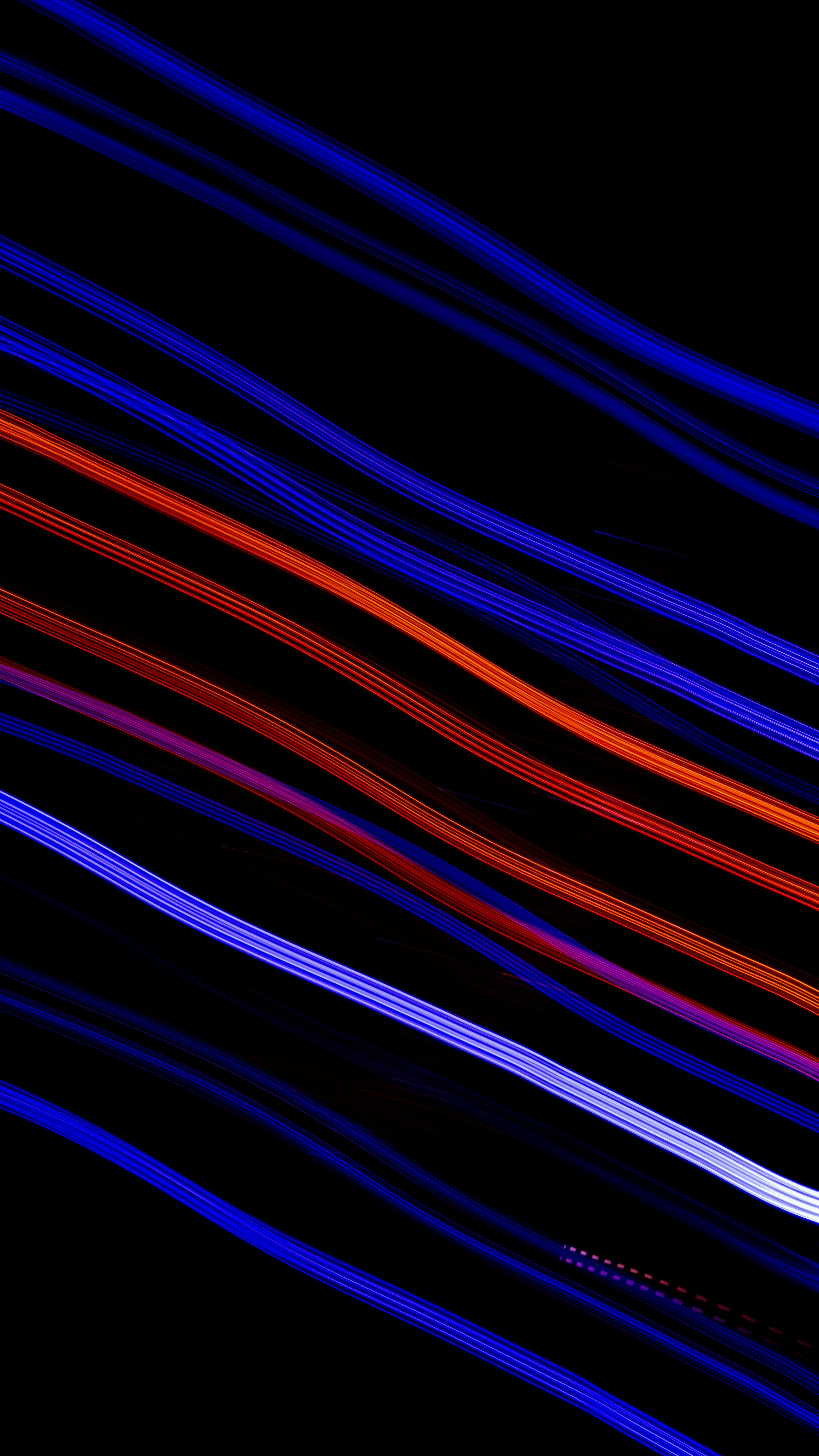Abstract, colorful light trails on black background.
