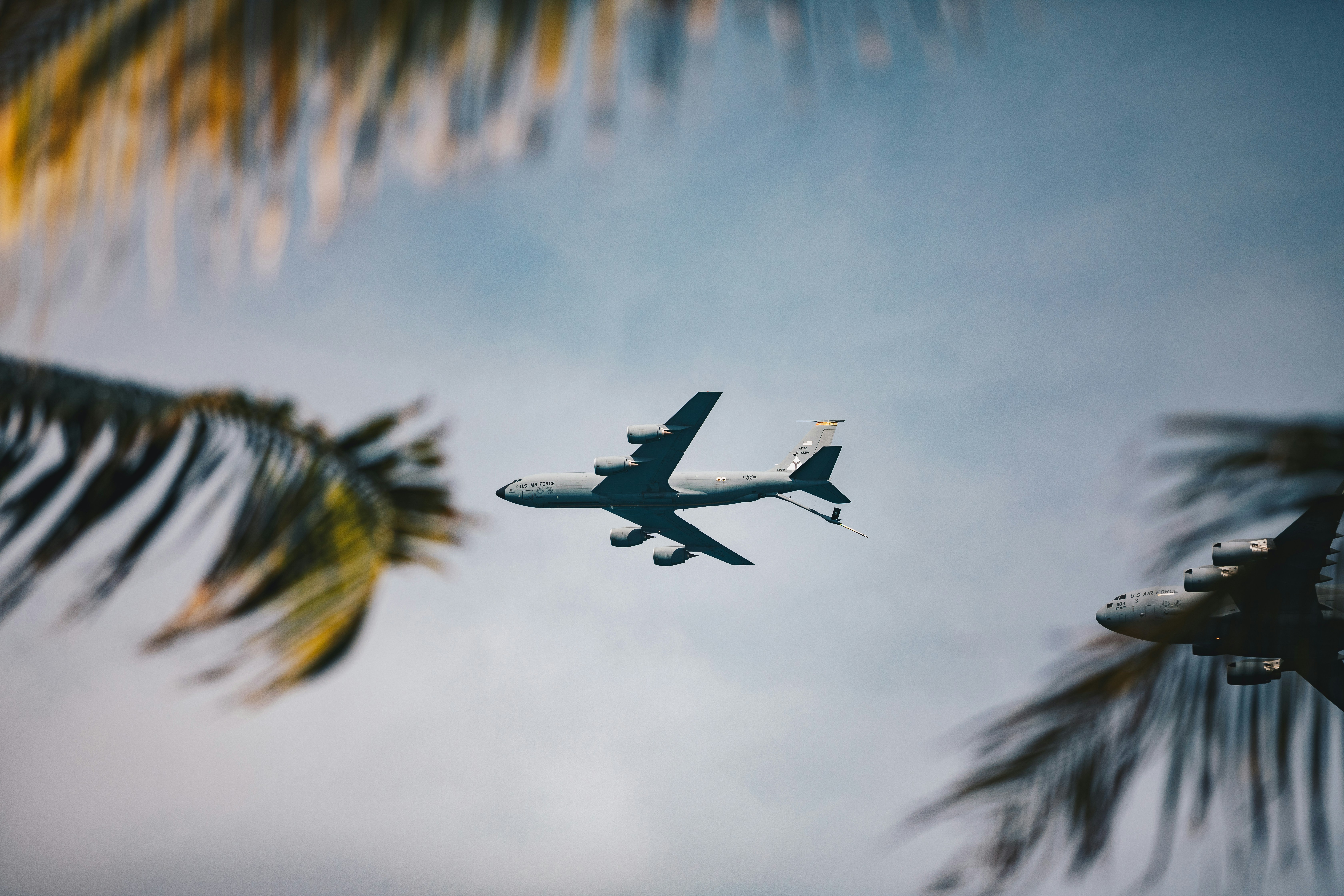 면세사업자도 부가세 신고해야 할까? 헷갈리는 기준 정리