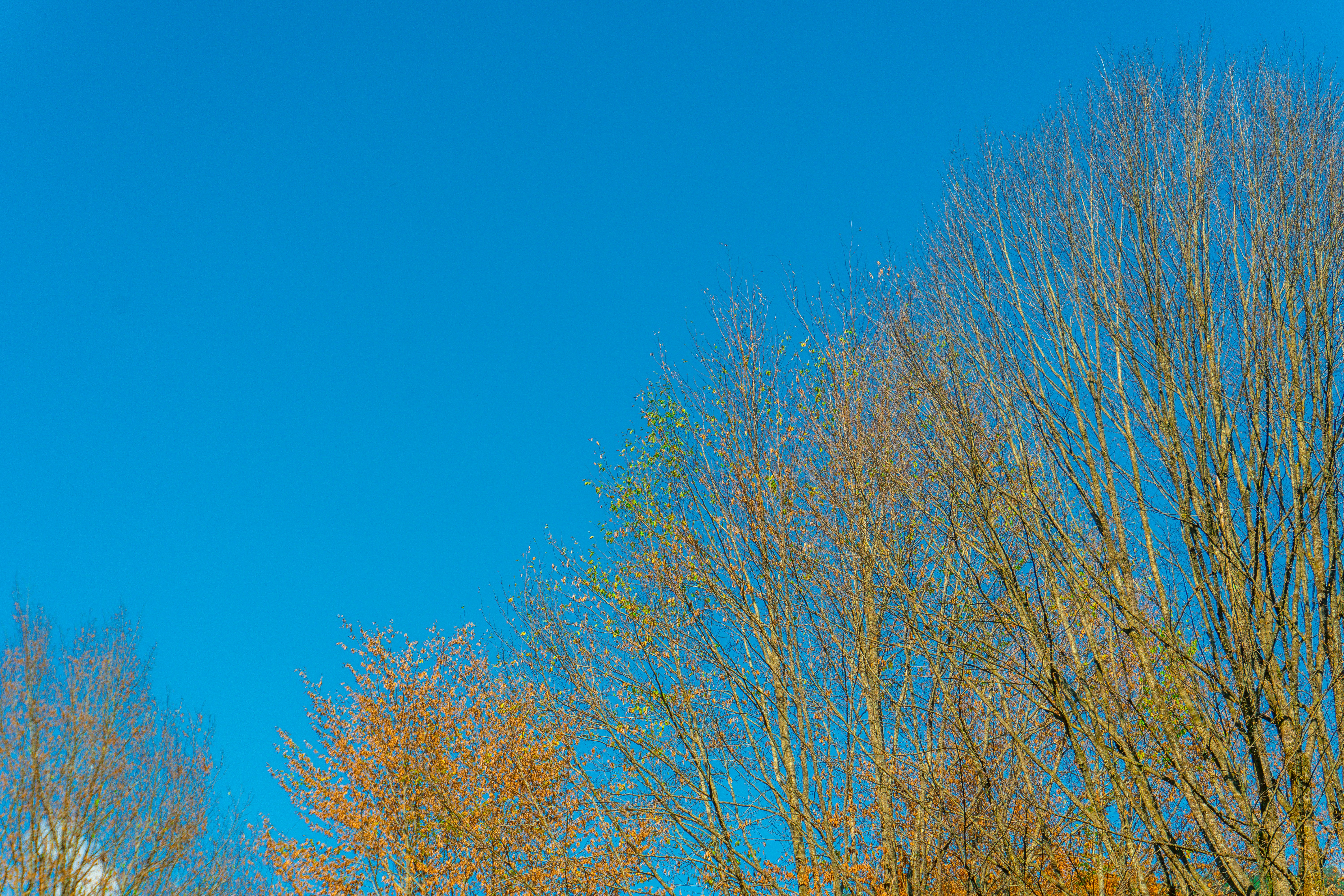 Photo by zulfugarkarimov