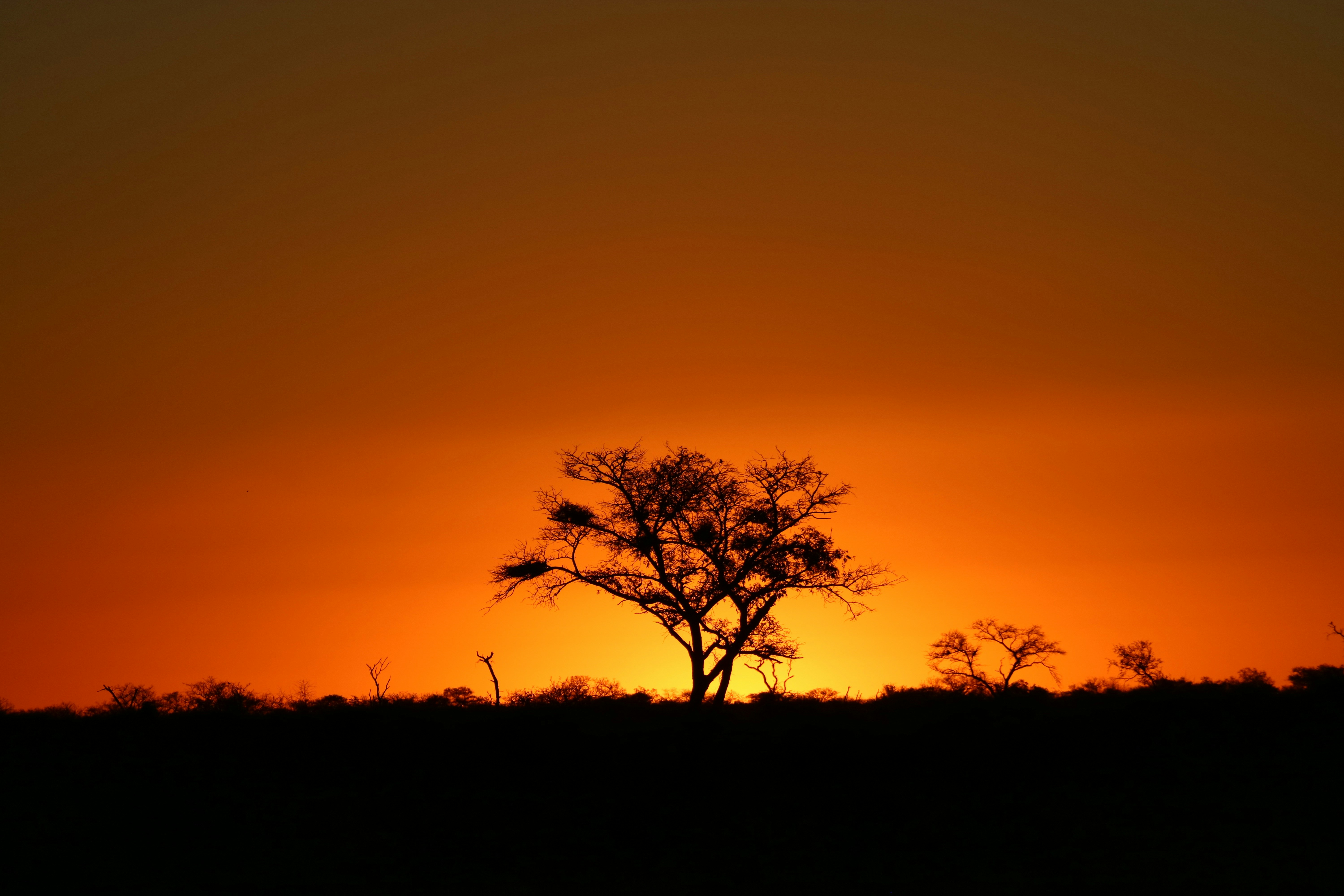 Photo by antmorrison