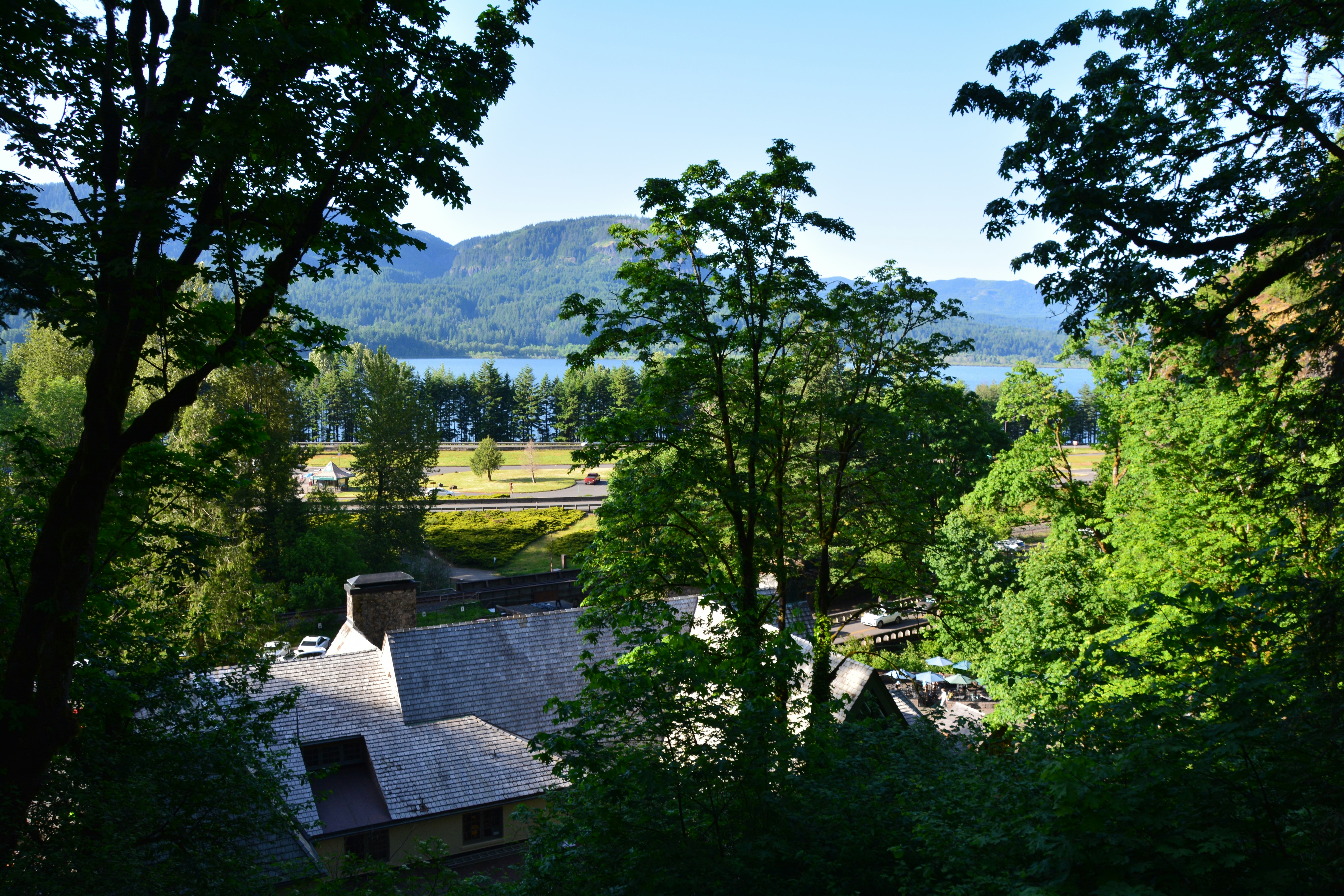 Trees frame a view of a lake and mountains.