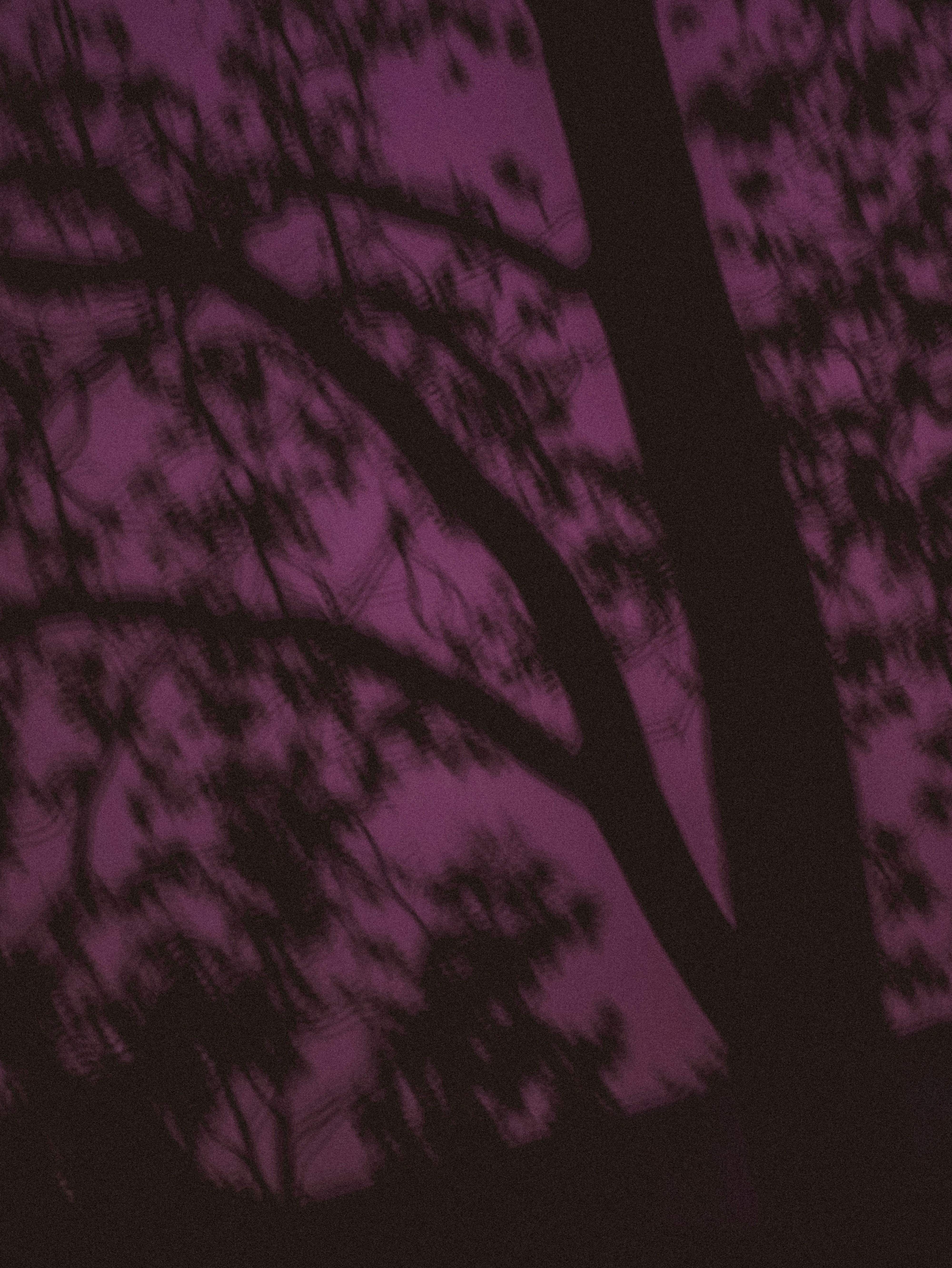 Photo by linusbelanger