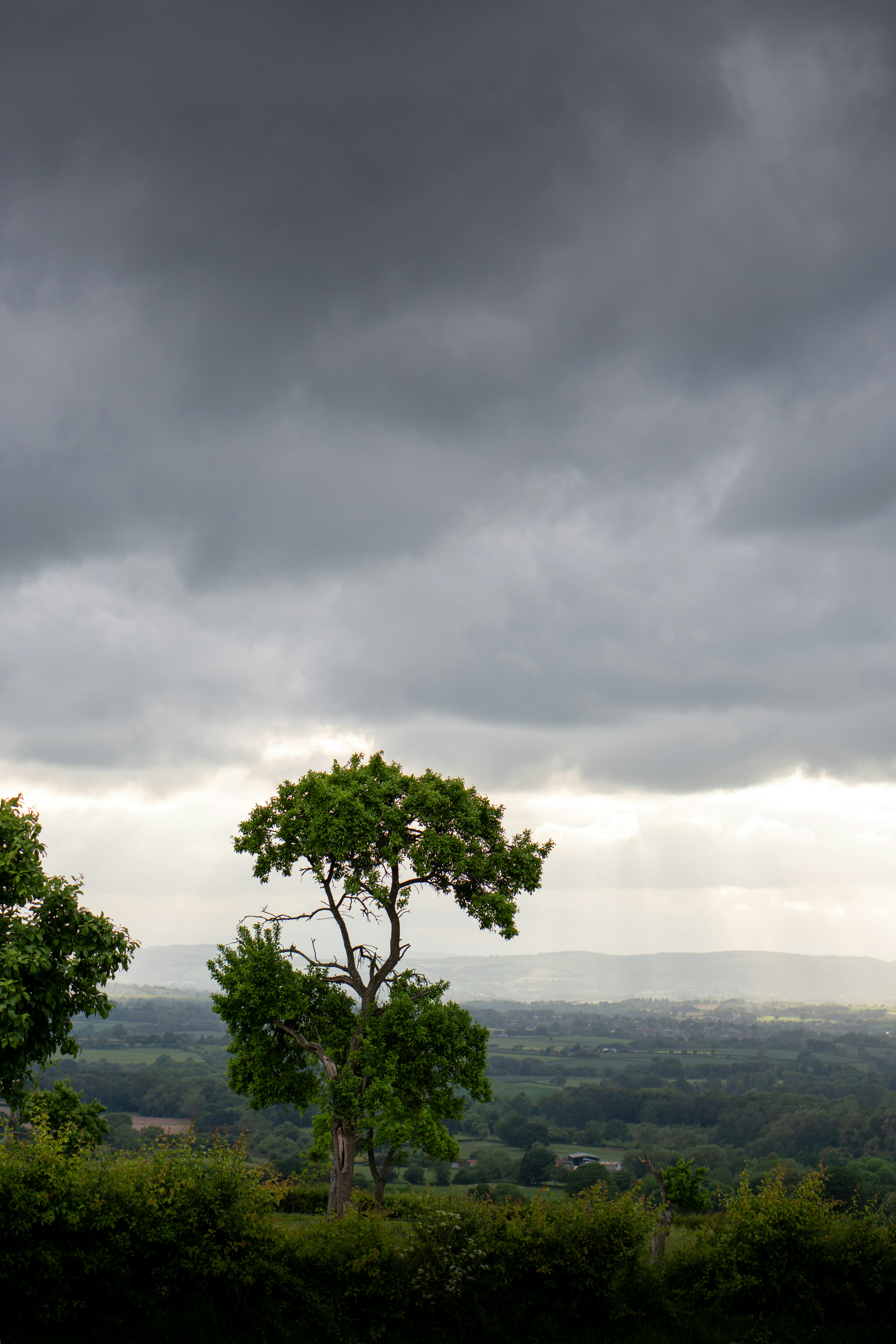 Photo by robwingate