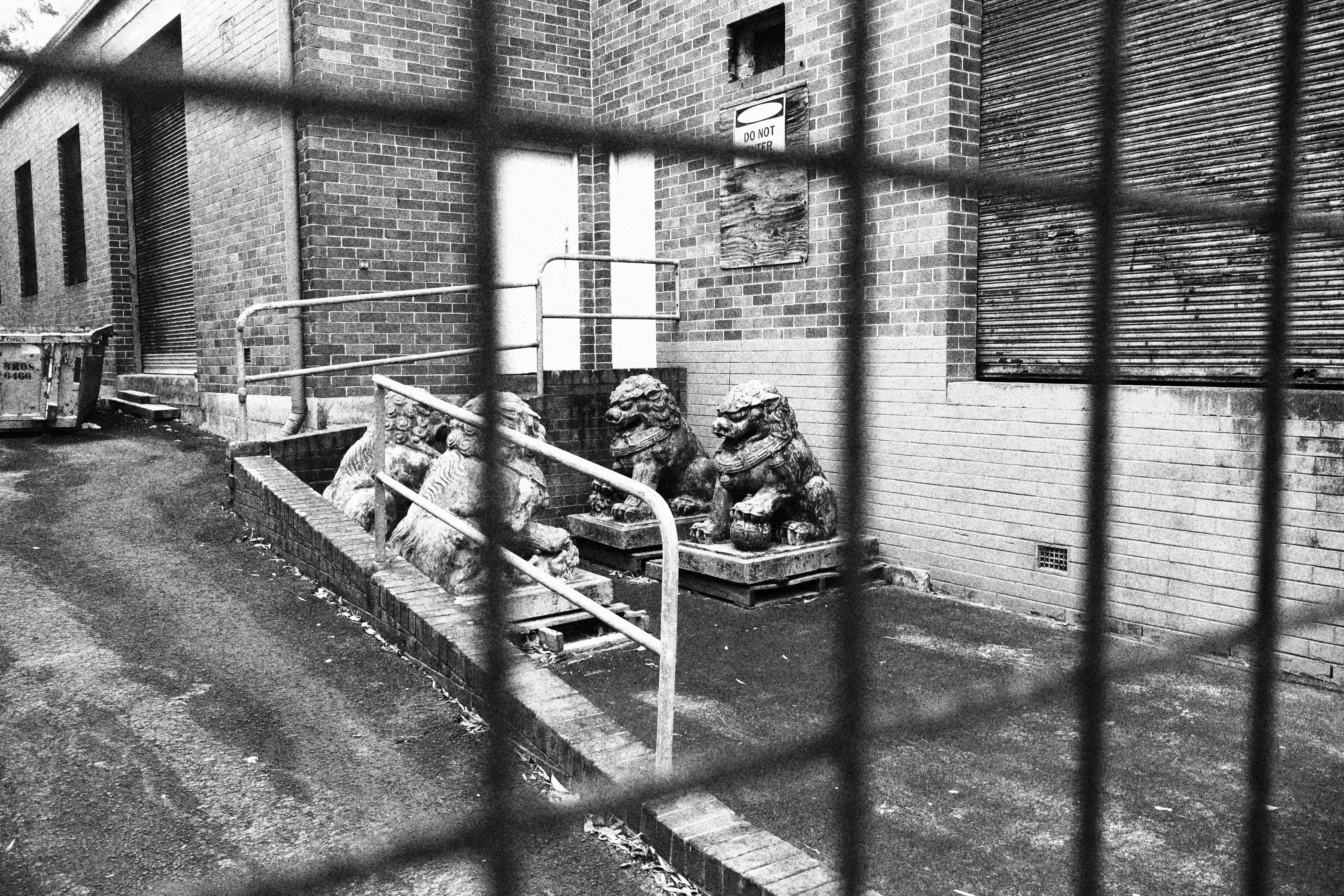 Lions statues are seen behind a metal fence.