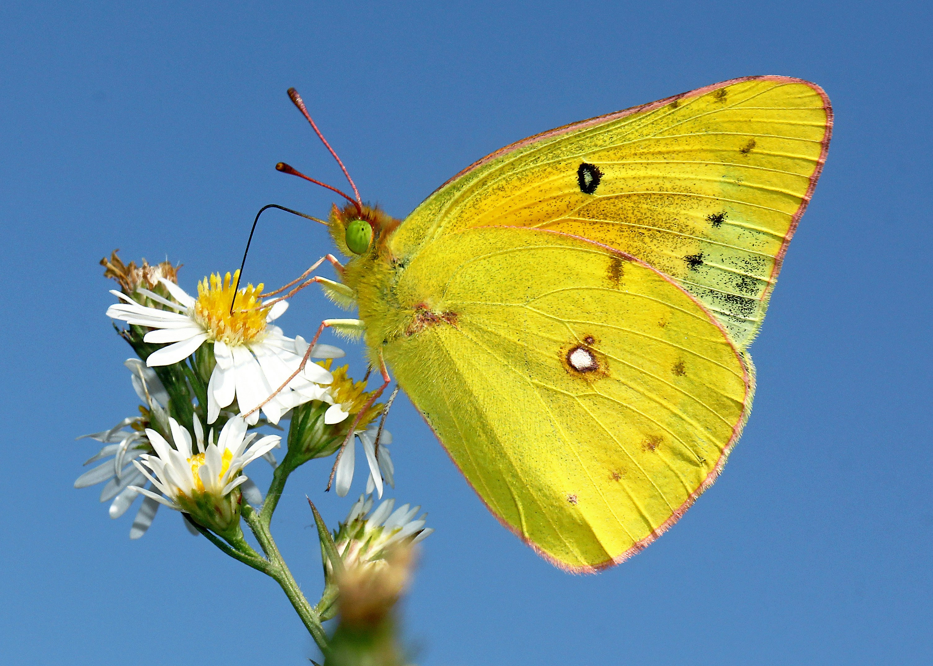 Photo by telliottmbamsc