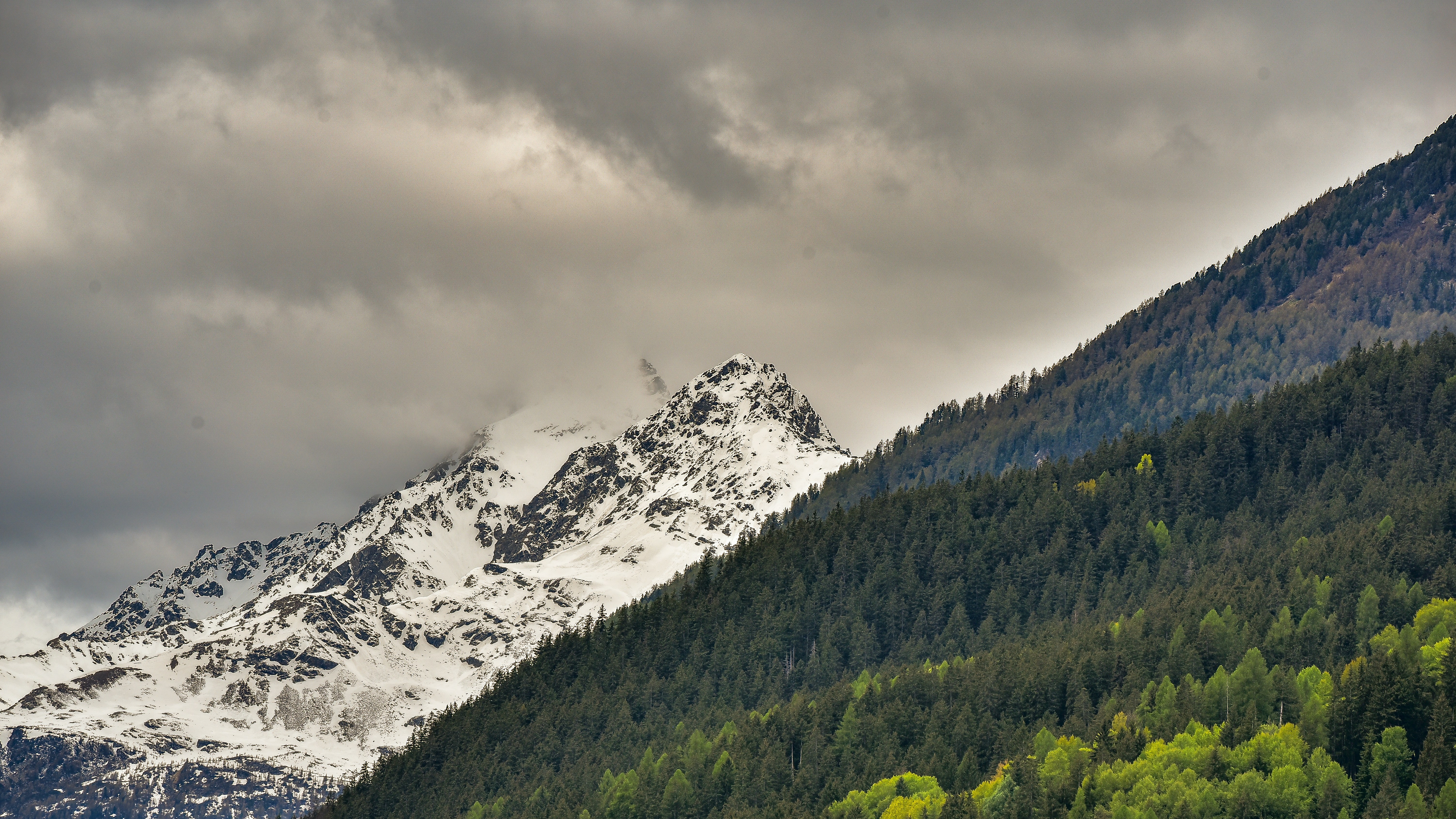 Mountains covered in snow and lush green forests.