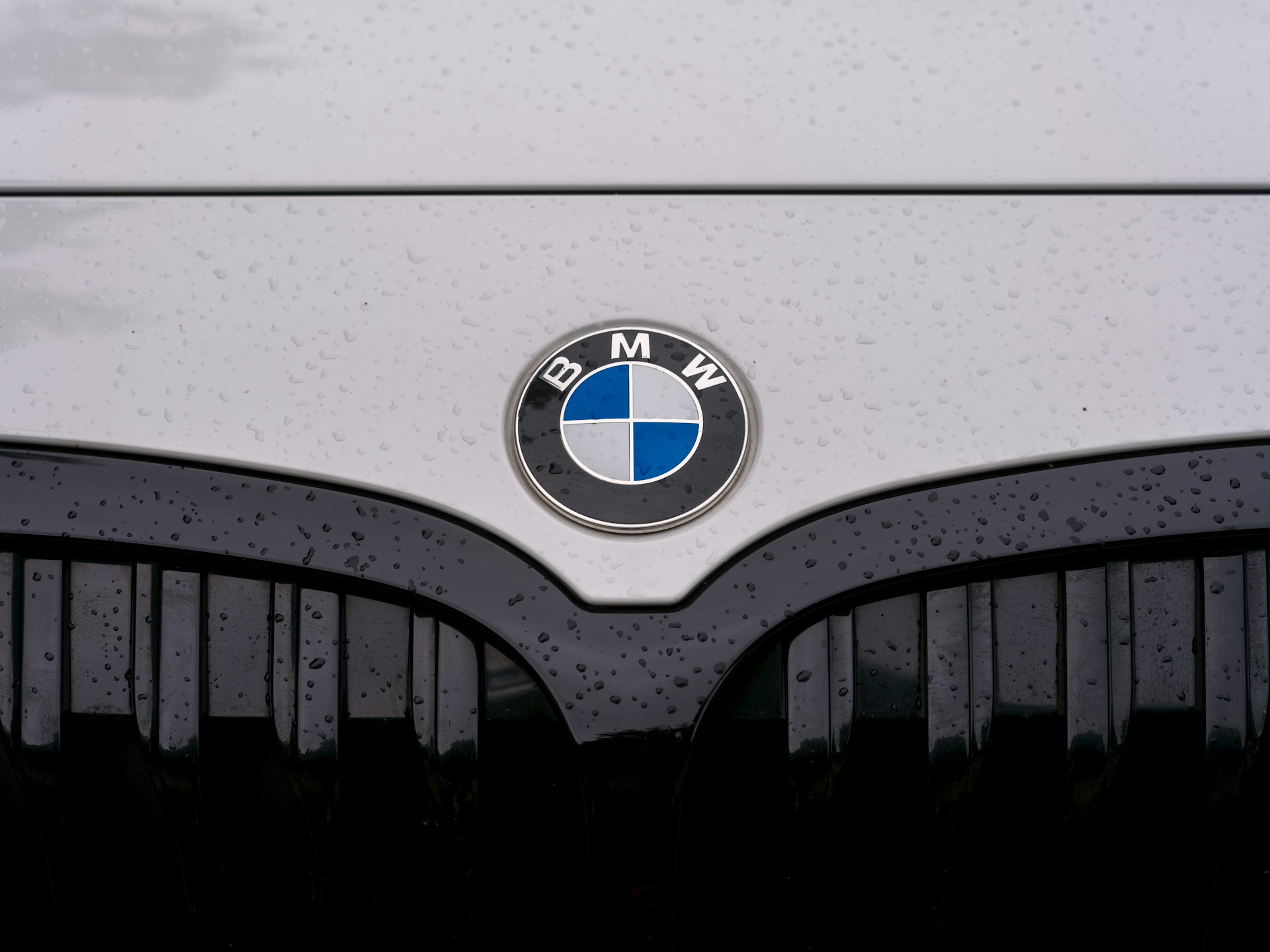 A BMW logo on the car's front grille.