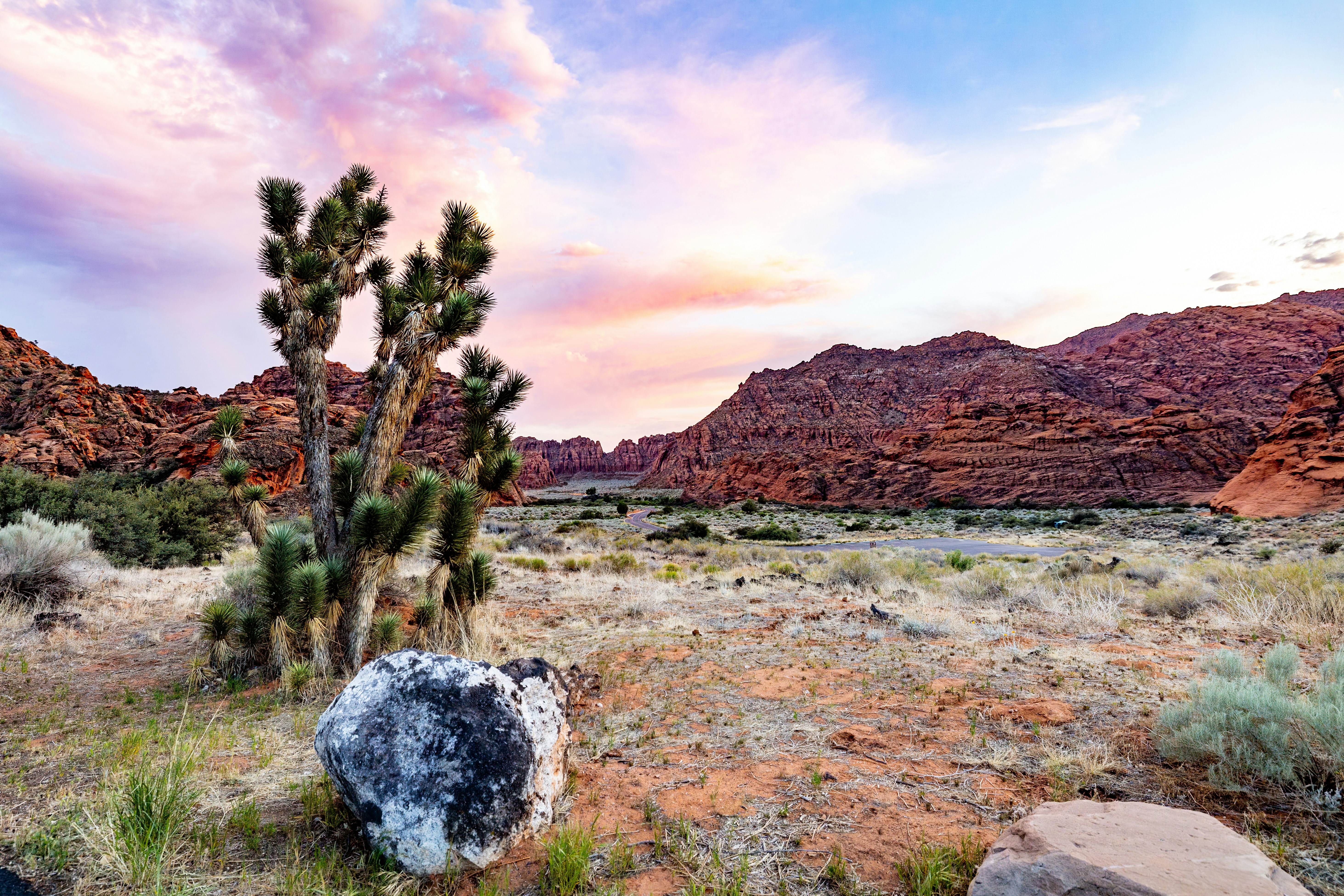 Photo by lancetraveler60