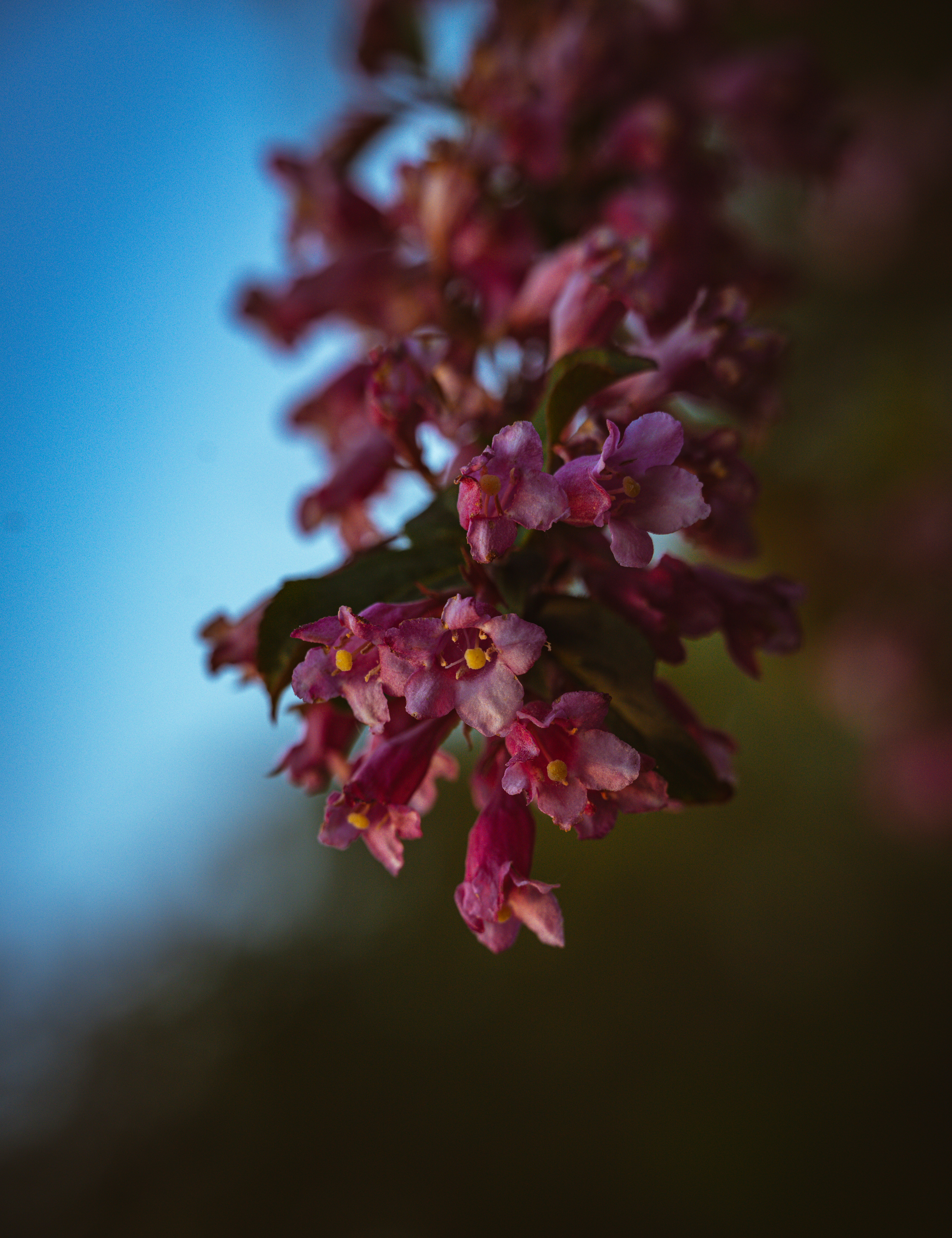 Photo by asbey