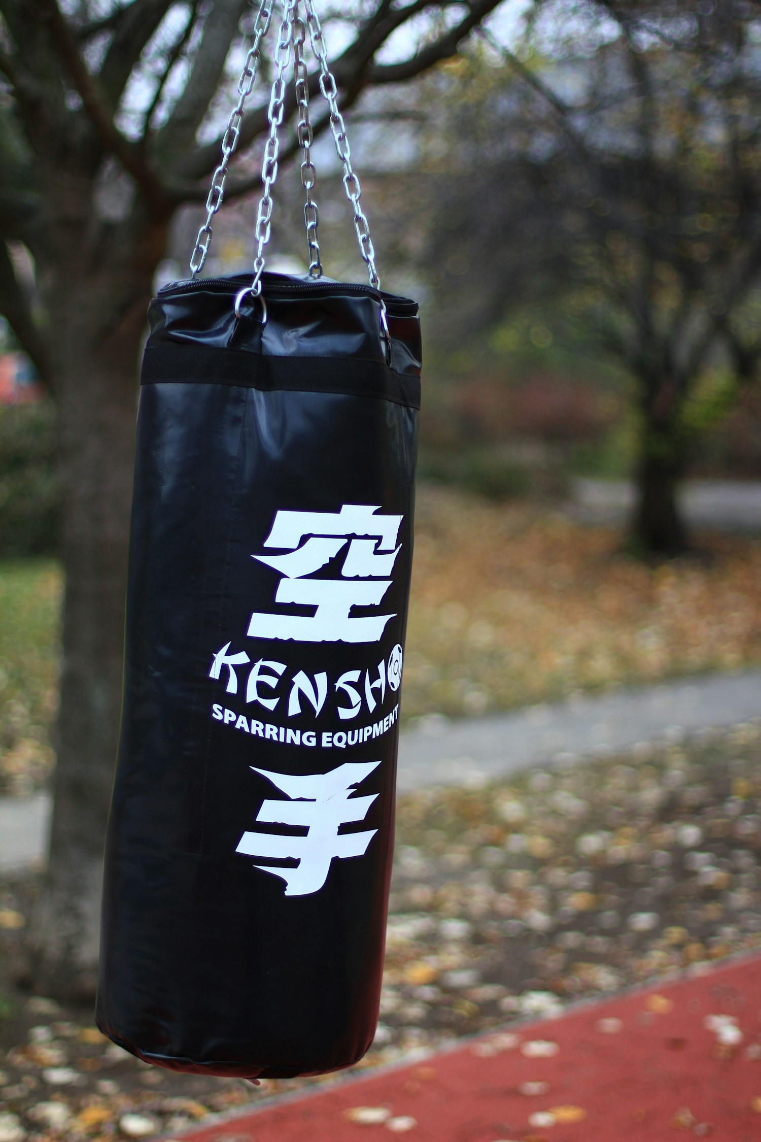 Advanced Analytics Image Alt Text