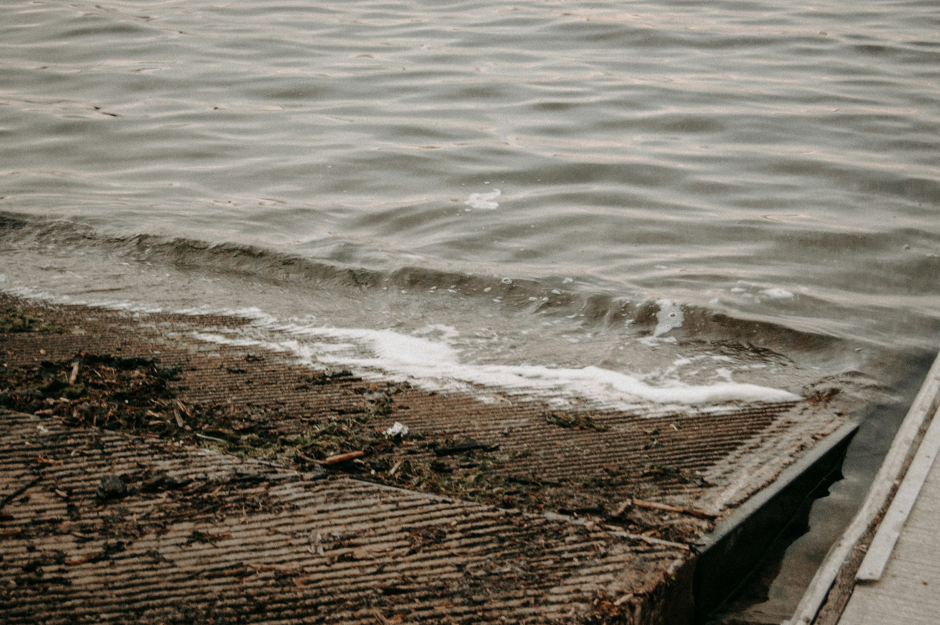 Photo by aidanlynchphotography