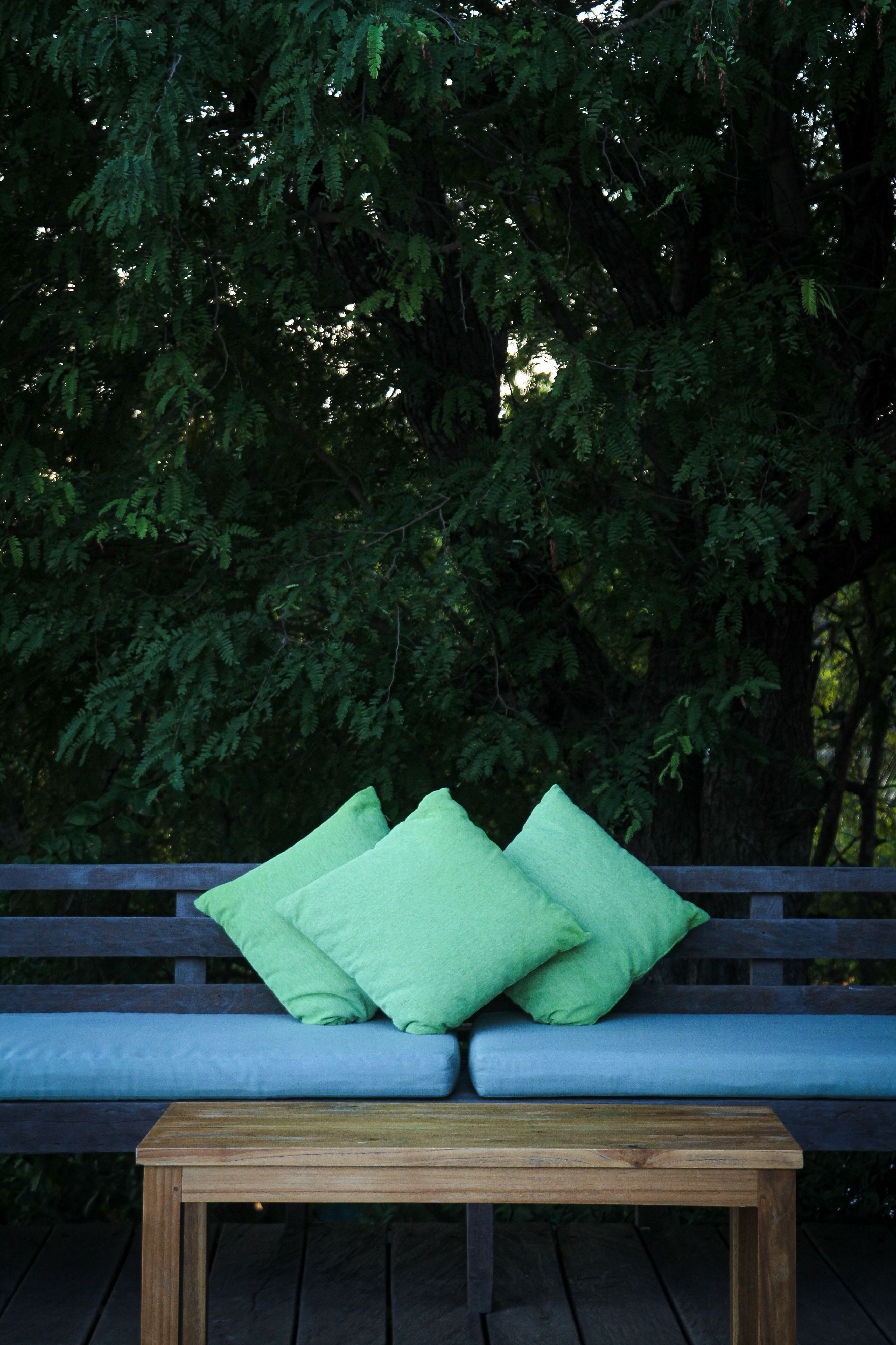Sofa dengan bantal duduk di bawah pohon hijau.