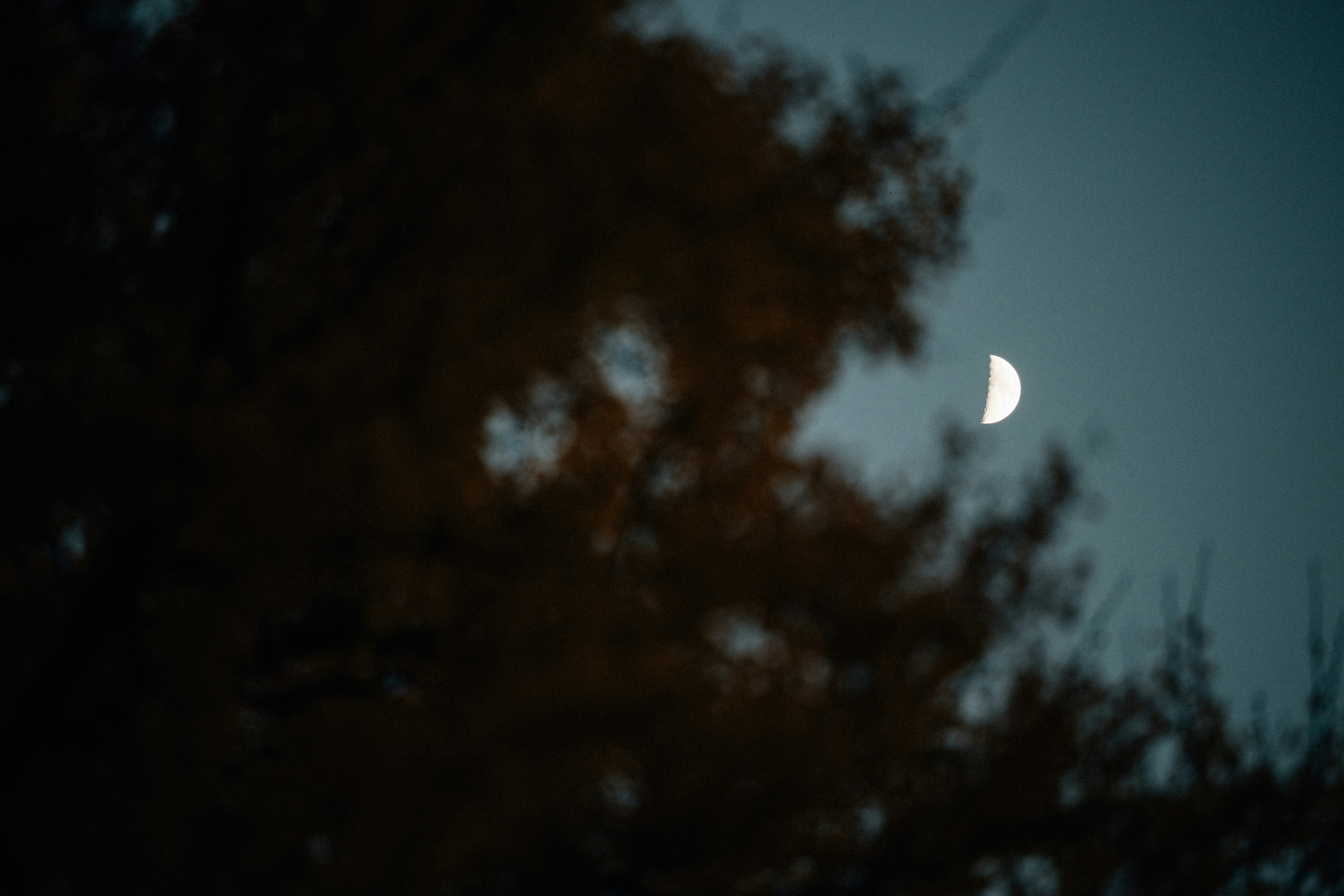 Photo by tsuyoshikozu