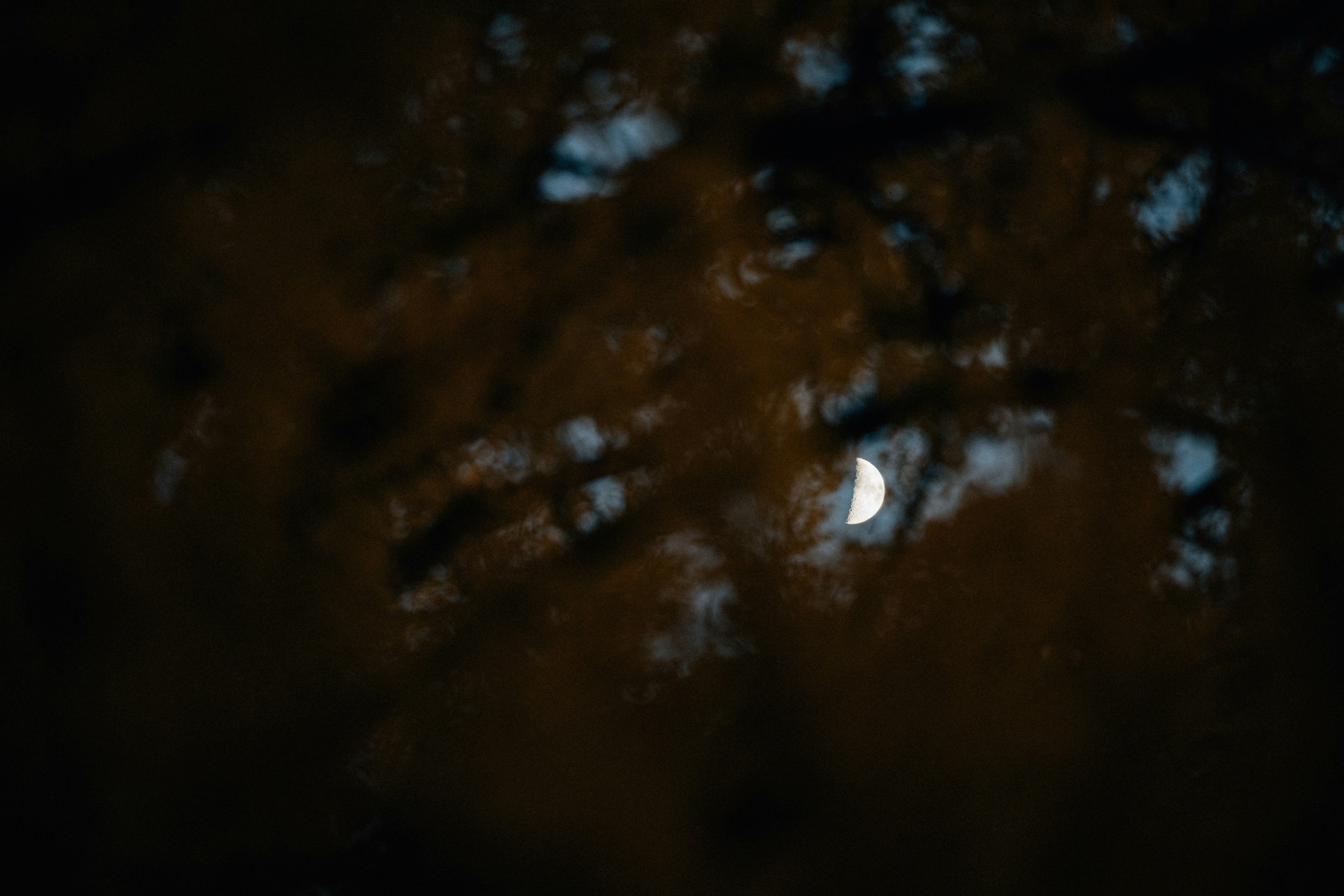 Photo by tsuyoshikozu