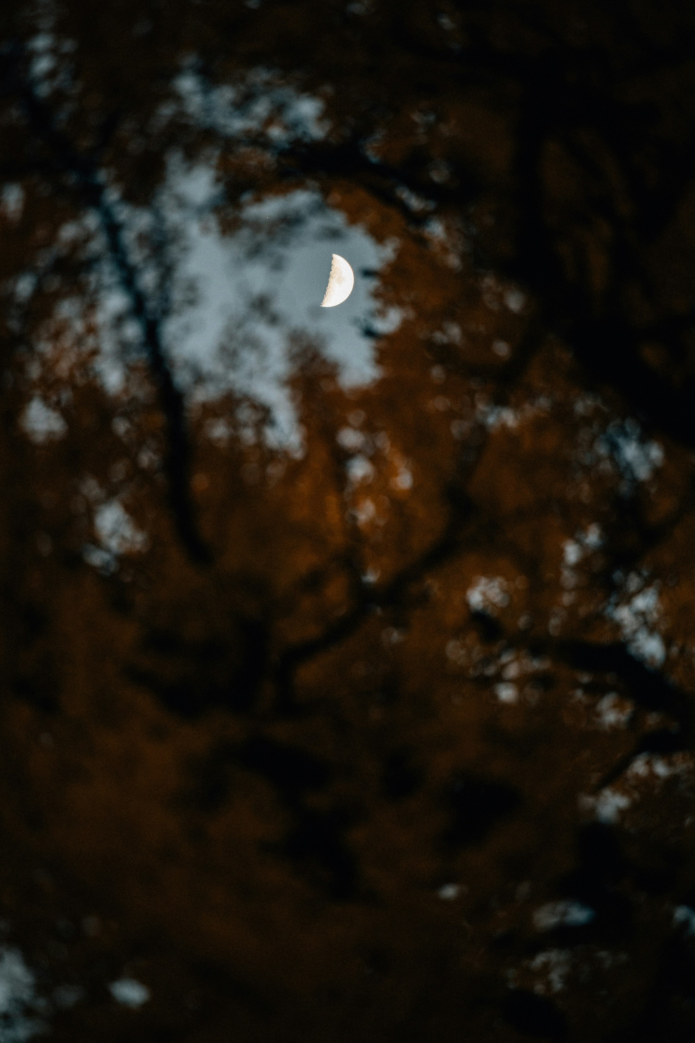 Photo by tsuyoshikozu