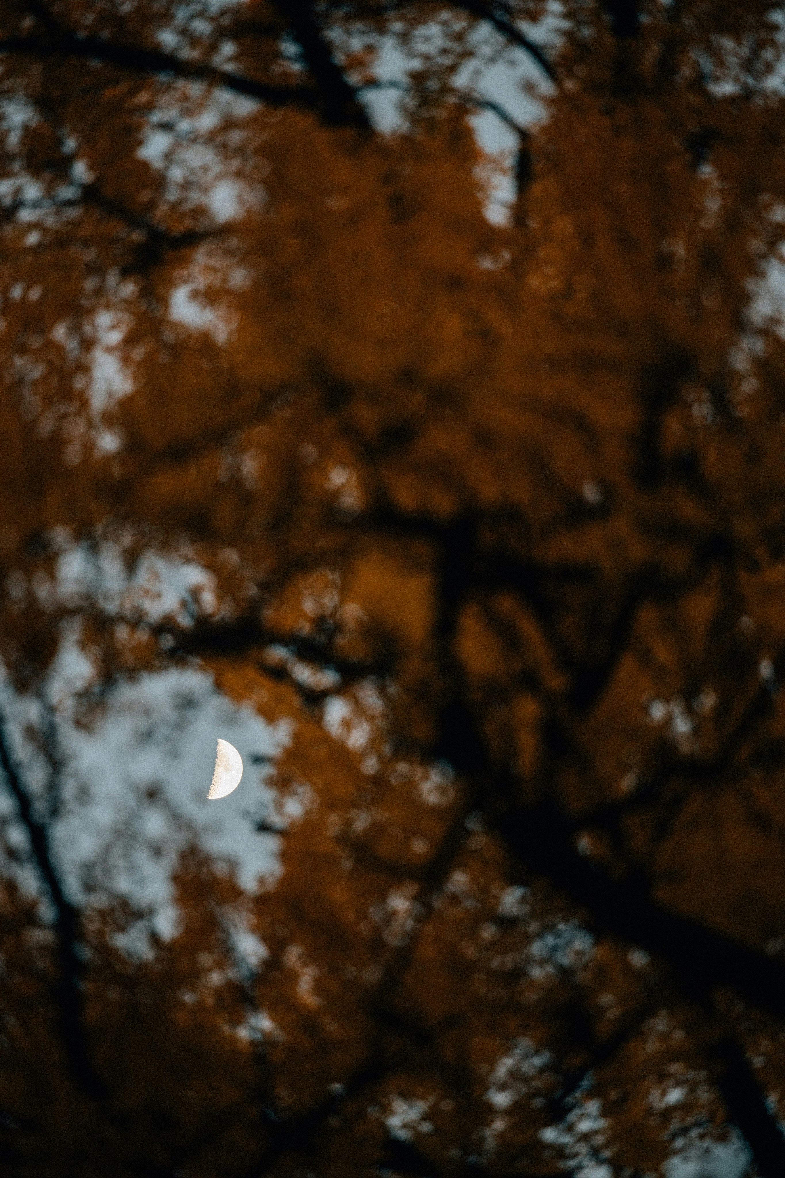 Photo by tsuyoshikozu