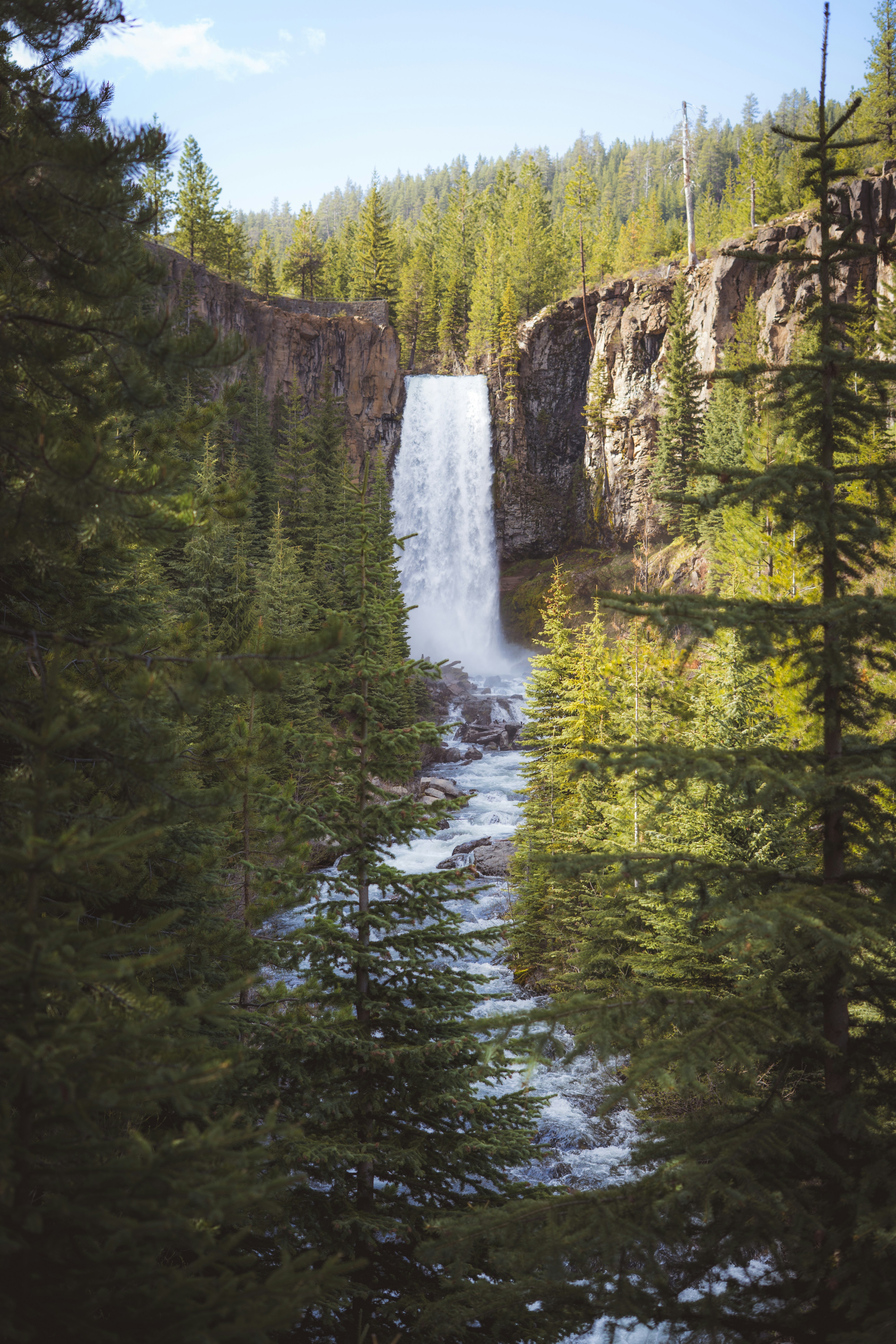 A majestic waterfall surrounded by green trees.