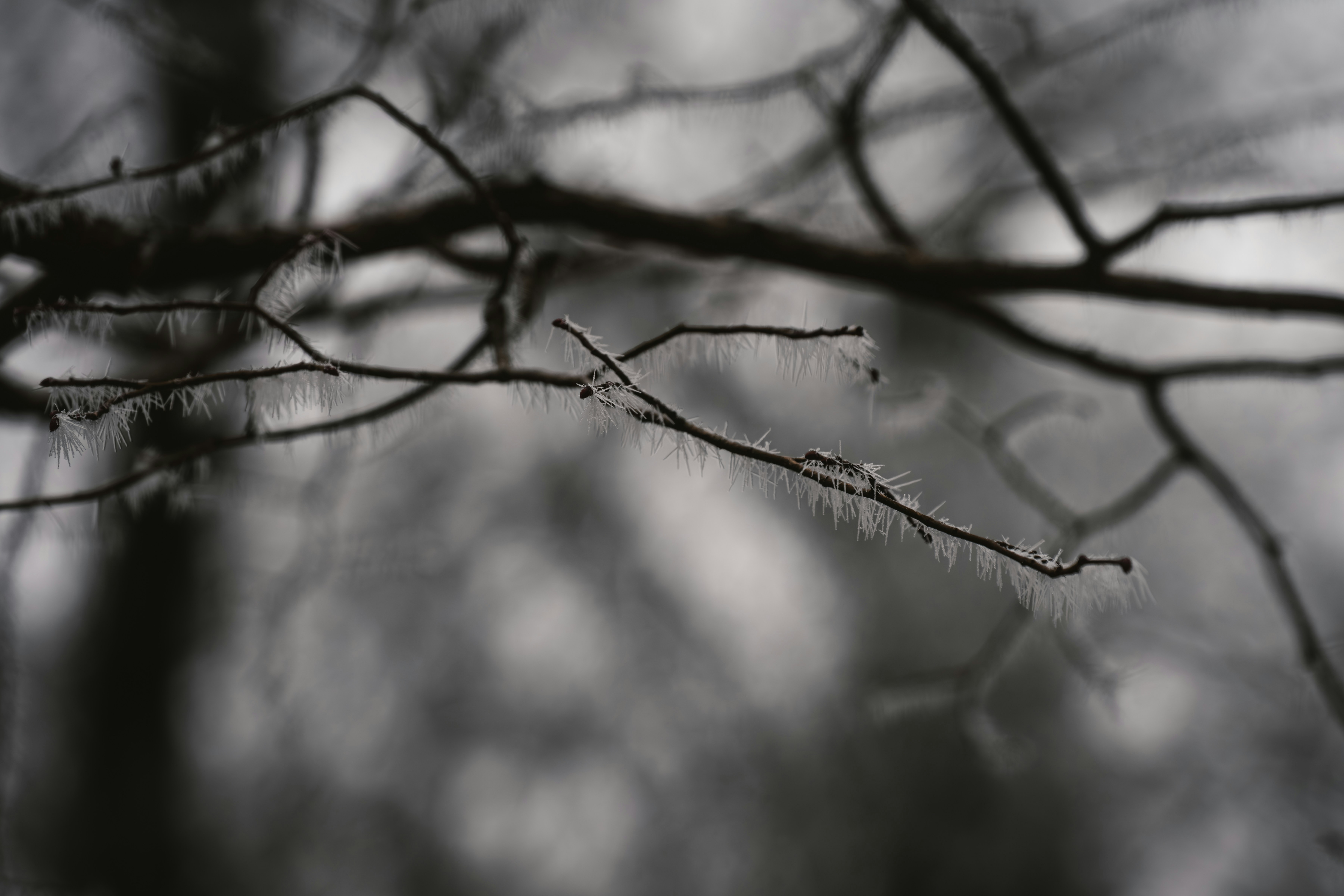 Photo by ahmetyuksek