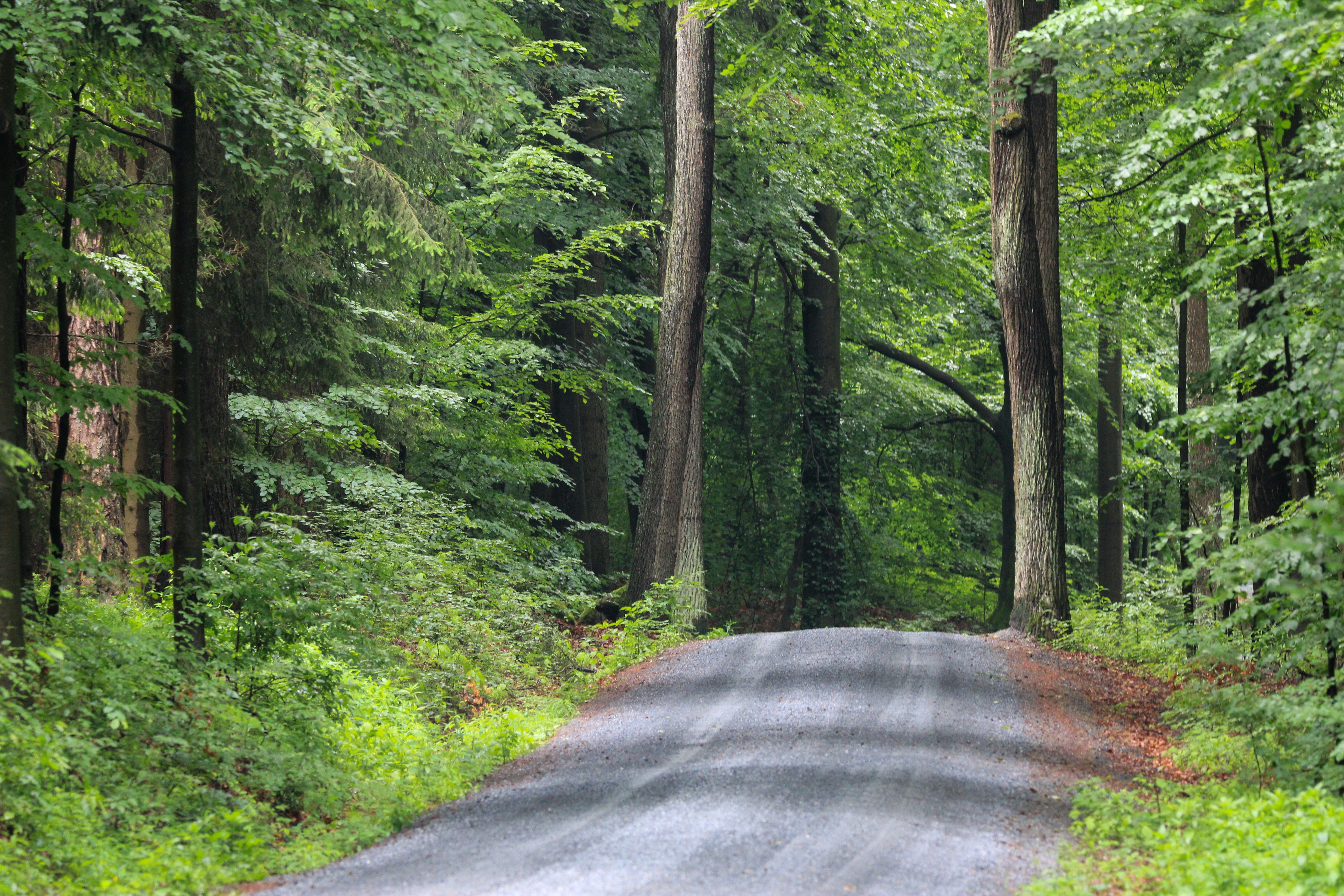 Photo by zsoltistvanphotography