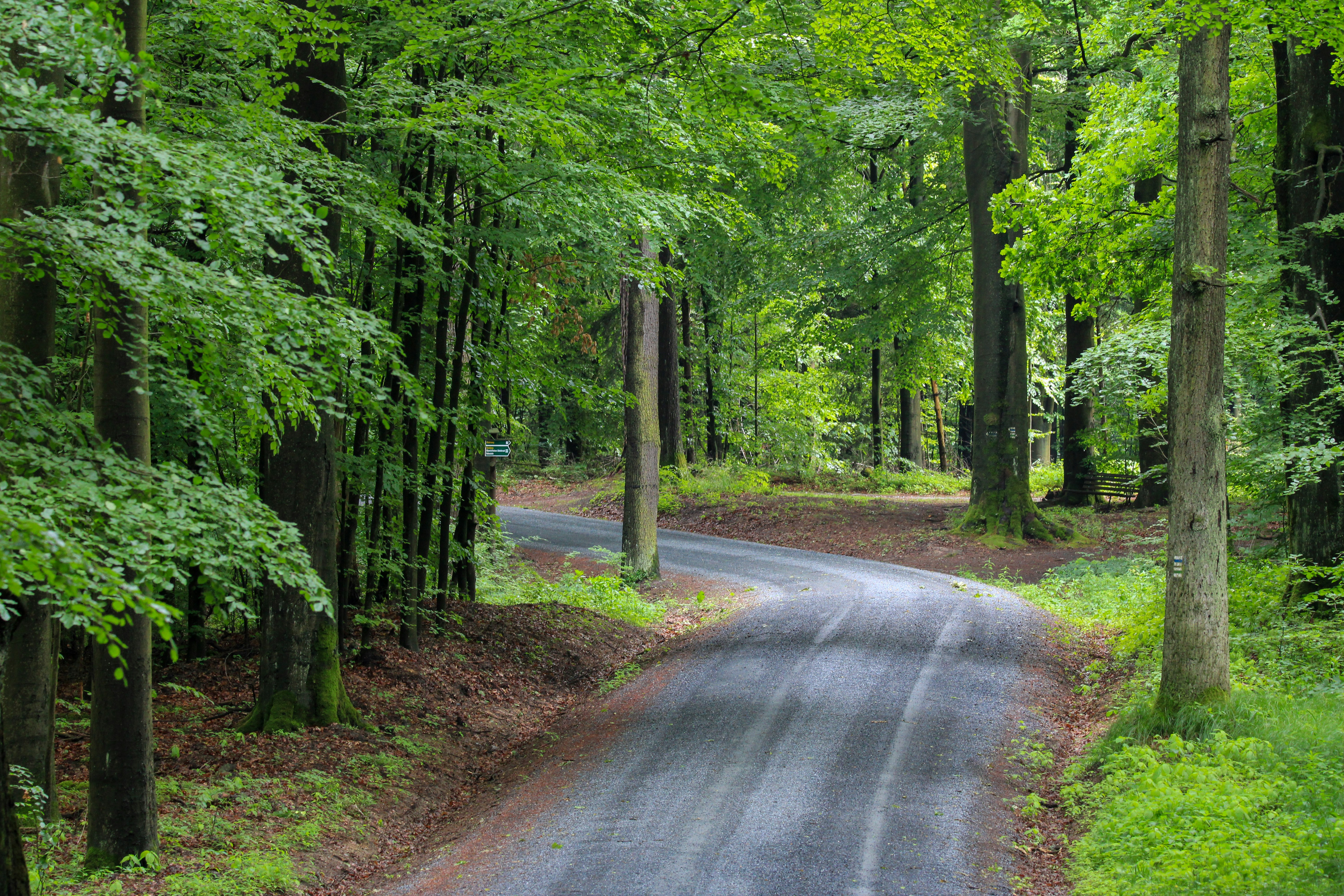 Photo by zsoltistvanphotography