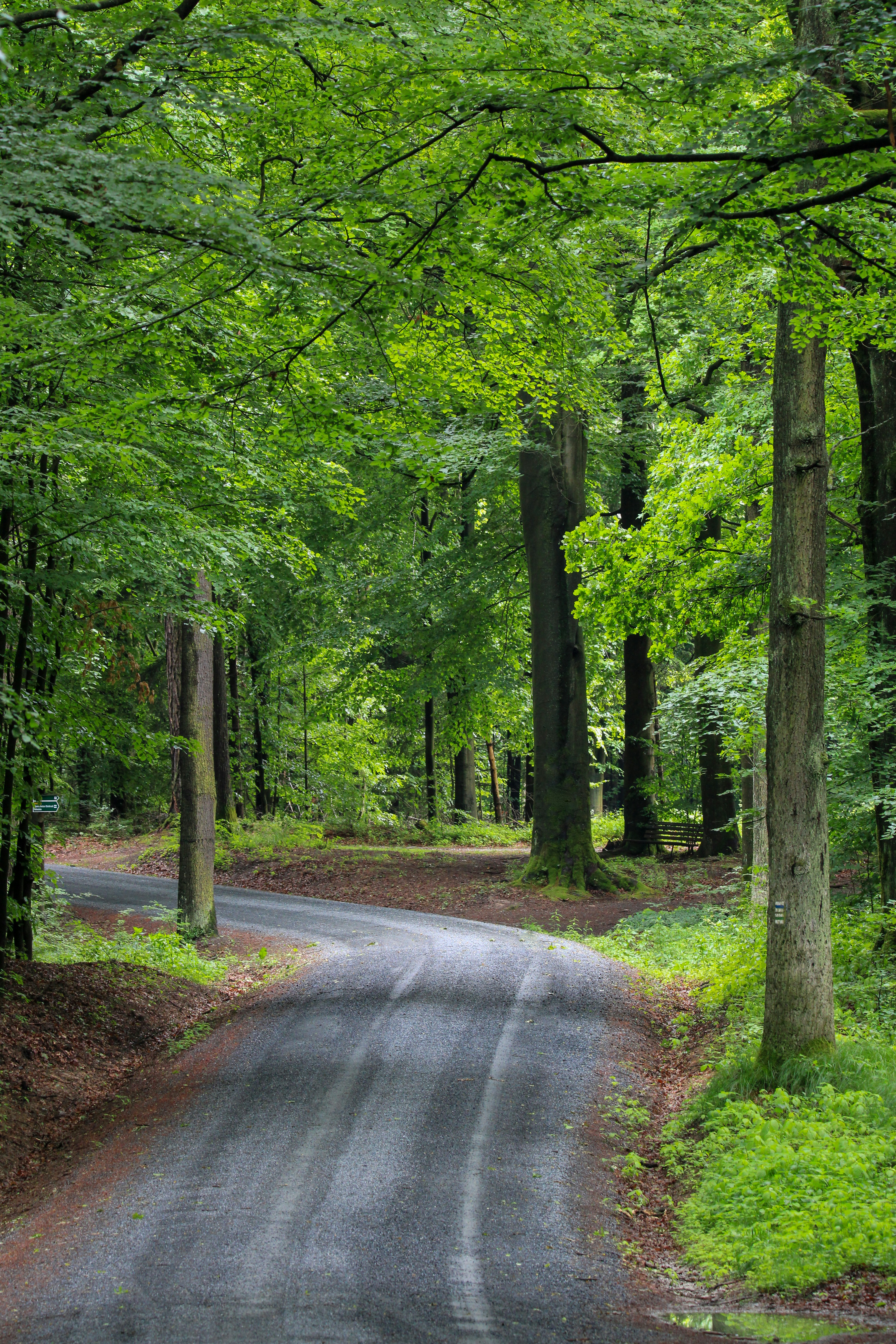 Photo by zsoltistvanphotography