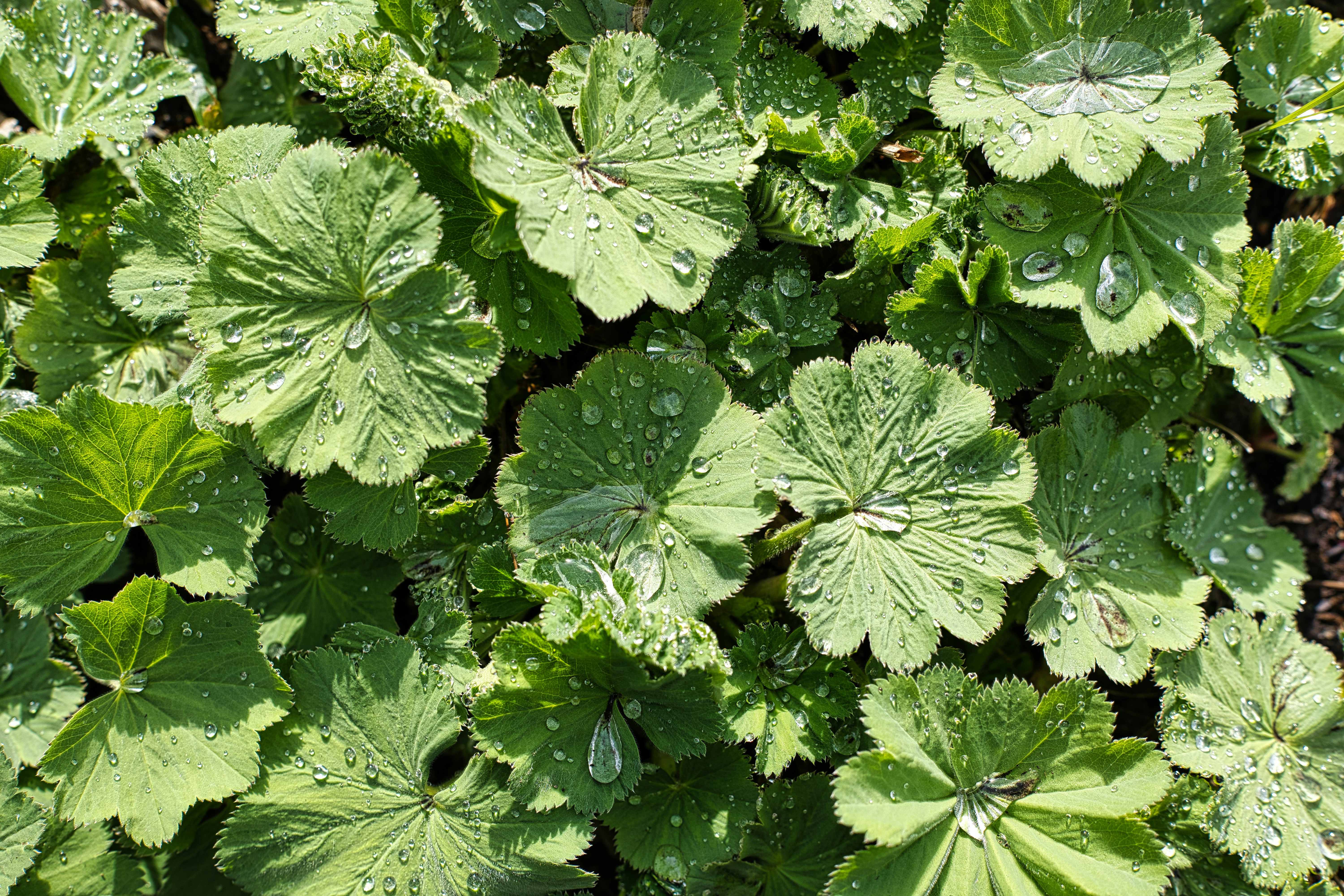 Photo by maksimshutov