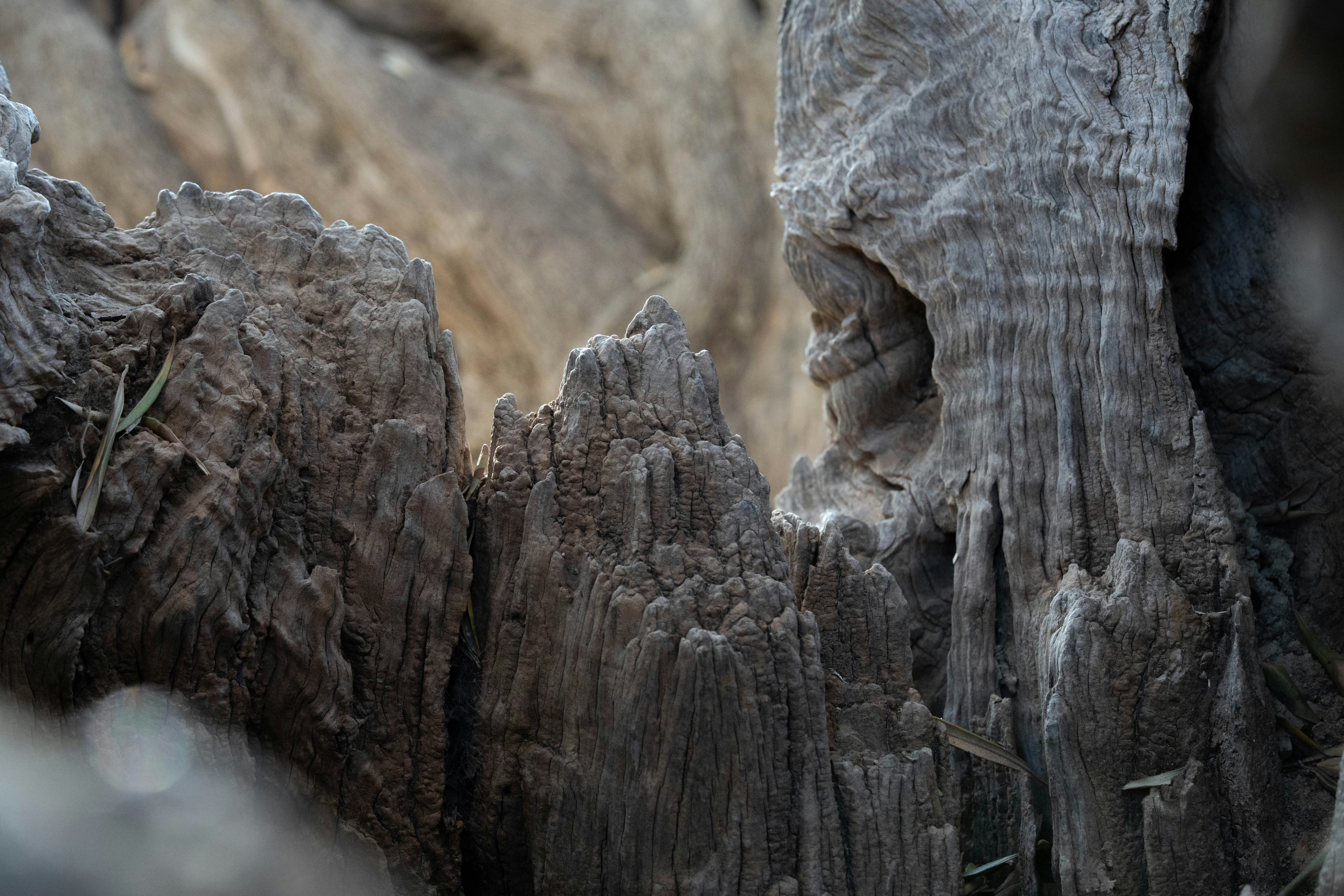 Photo by ahmadtalath