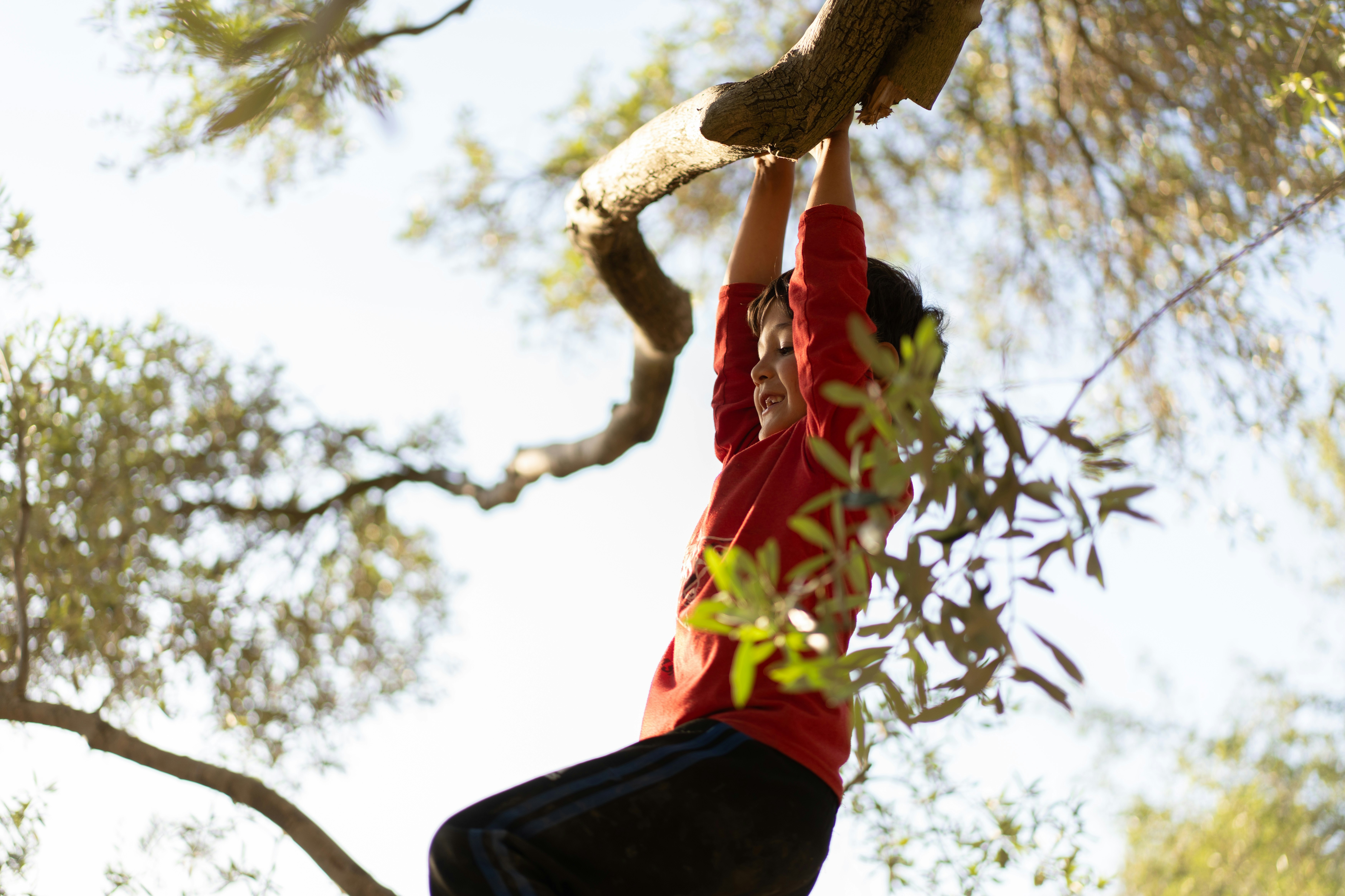 Photo by ahmadtalath