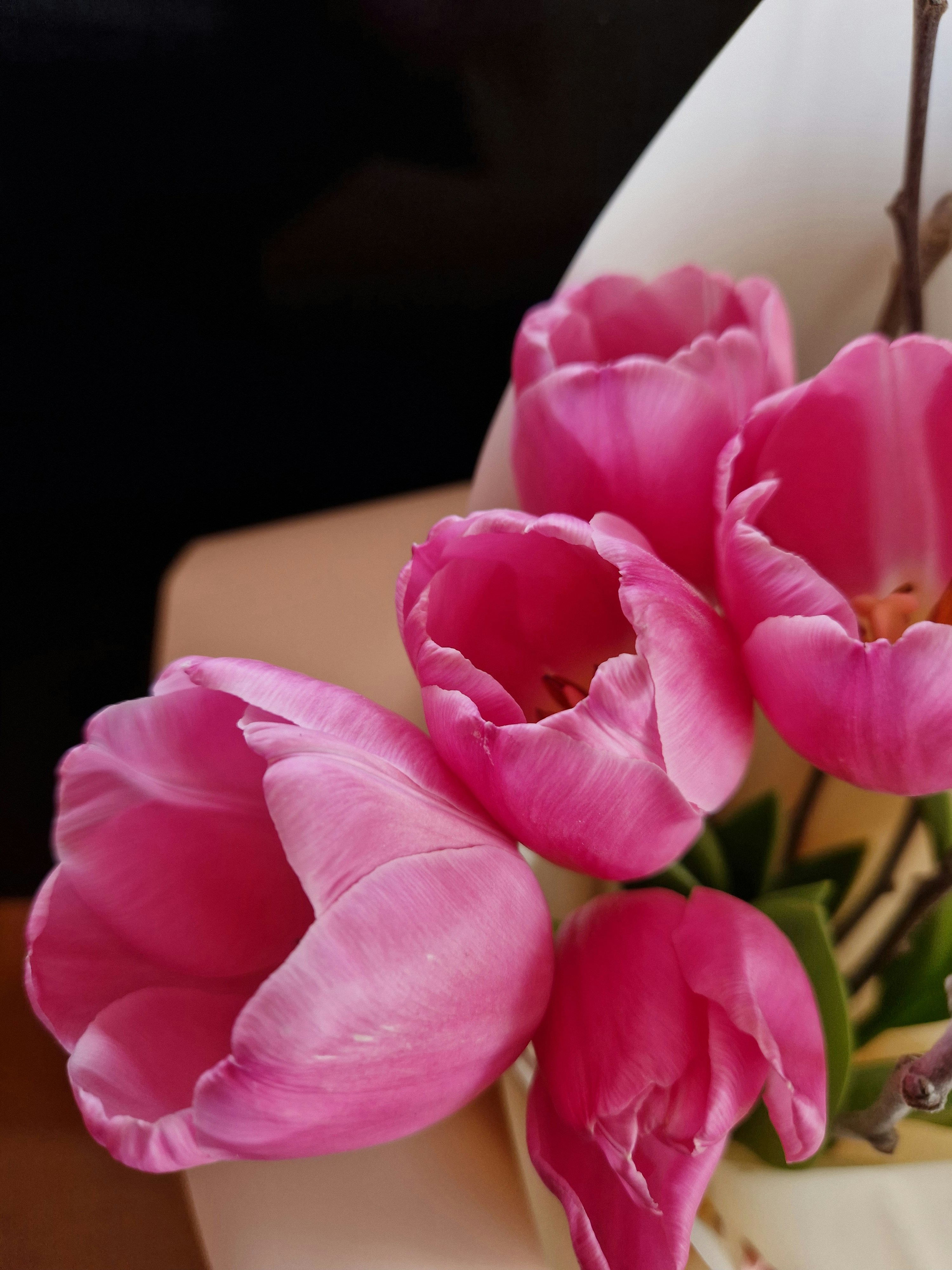Pink tulips are beautifully arranged.