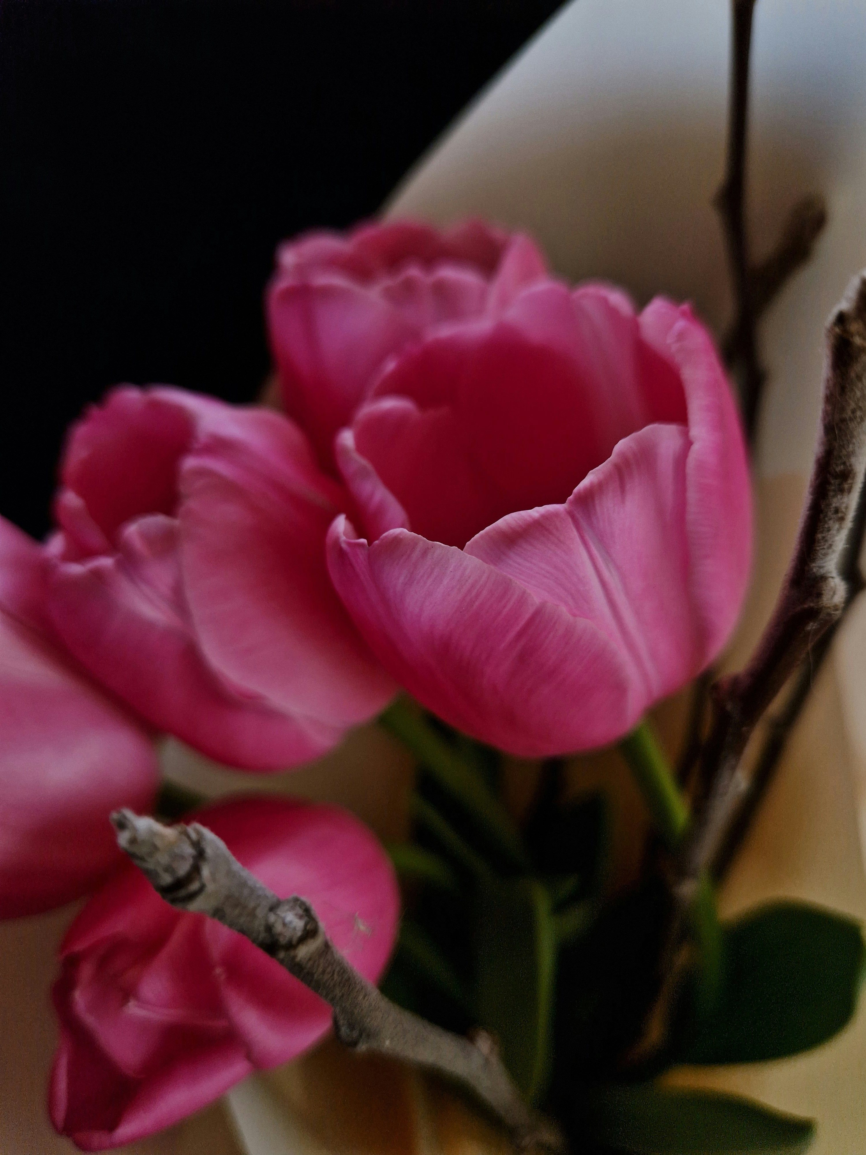 Photo by dmushtaieva