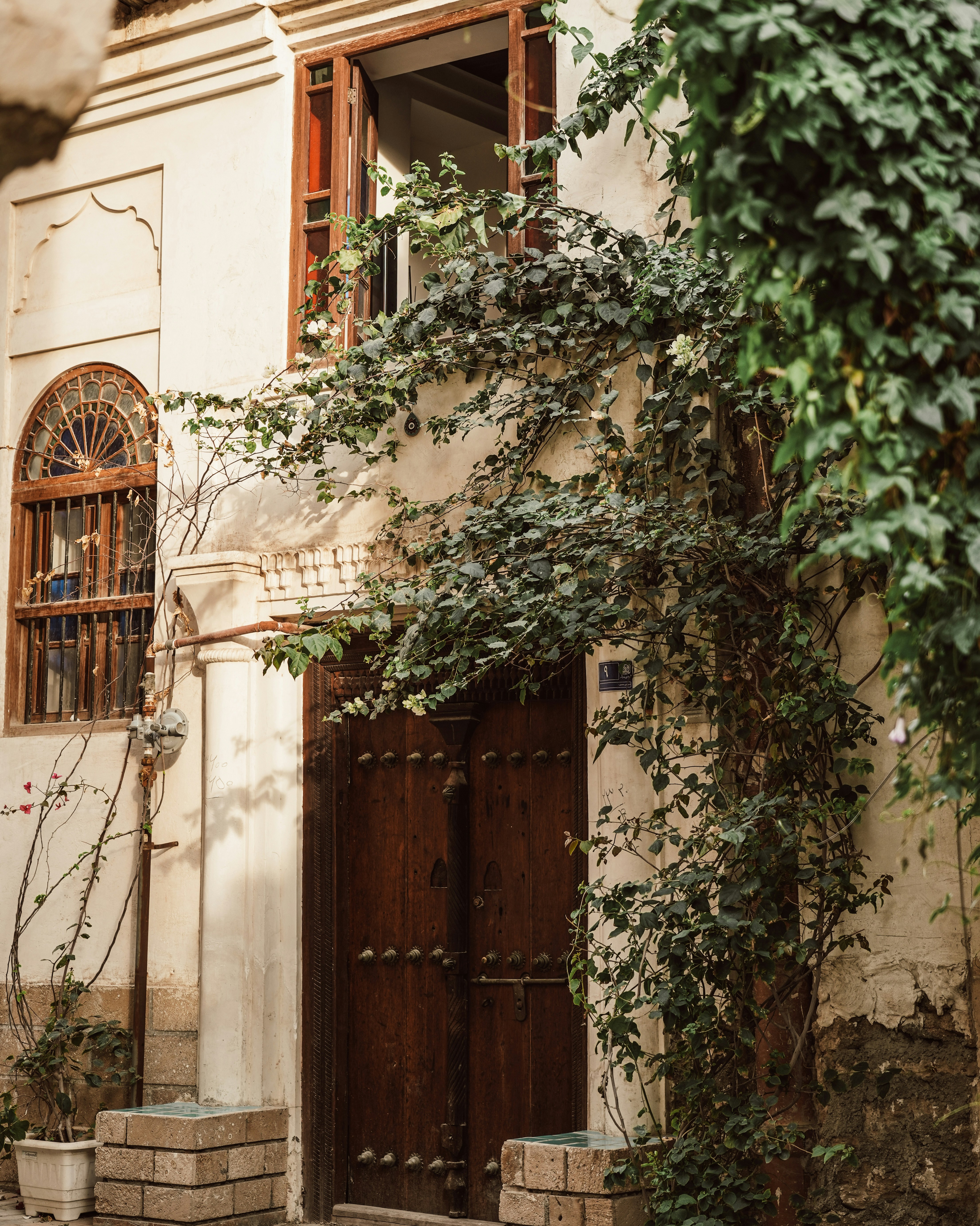 Photo by moshkforoush