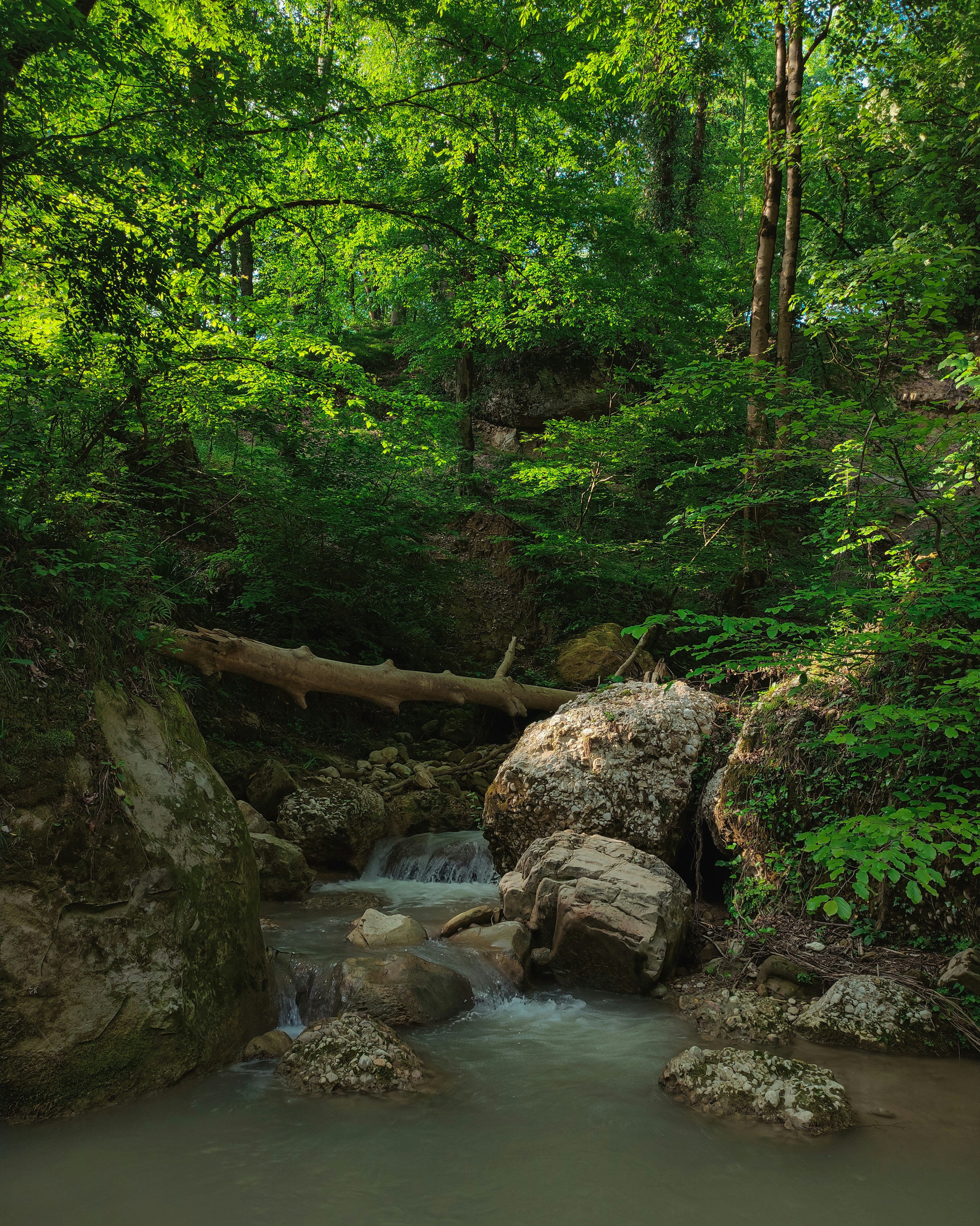 Photo by moshkforoush