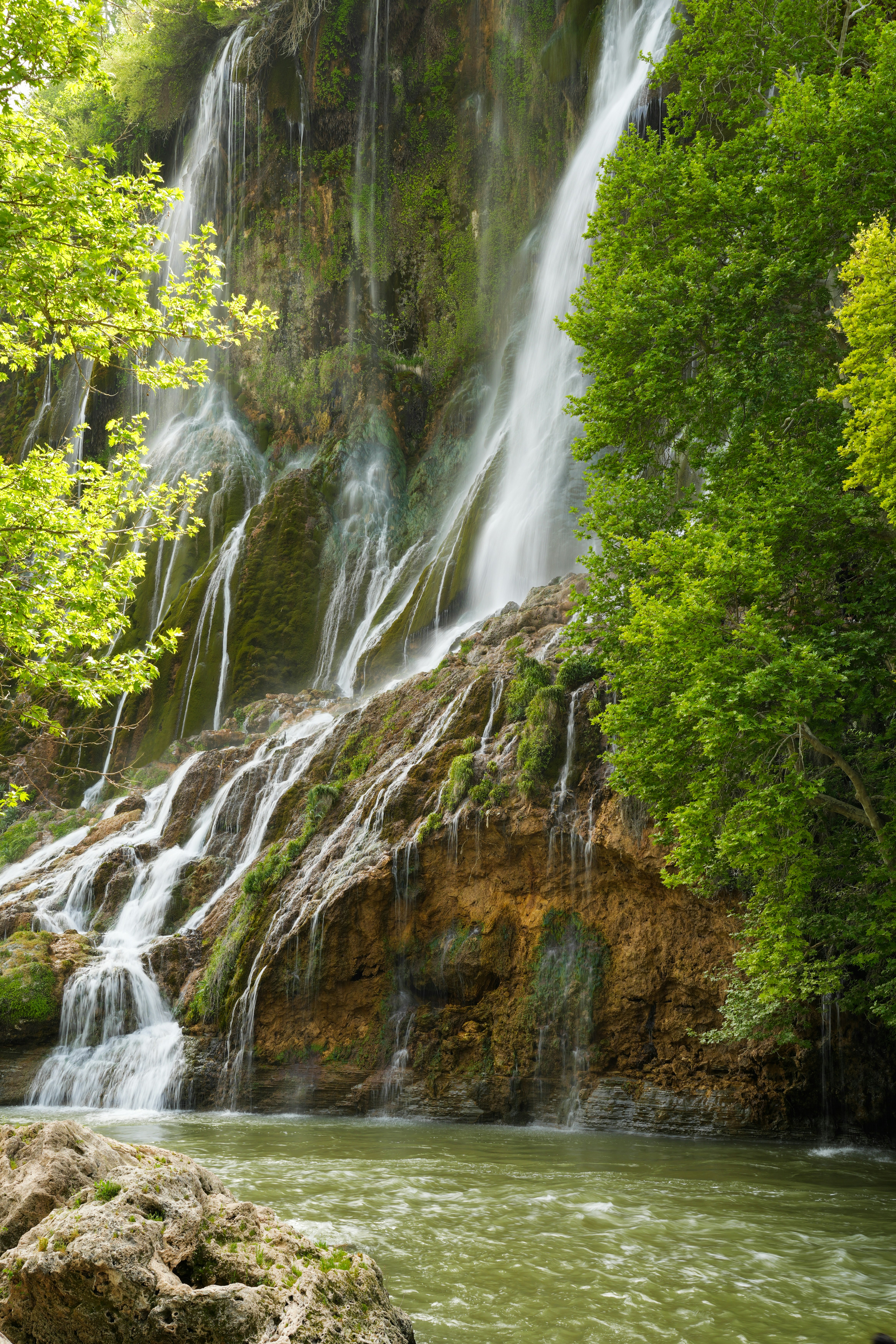 Photo by moshkforoush