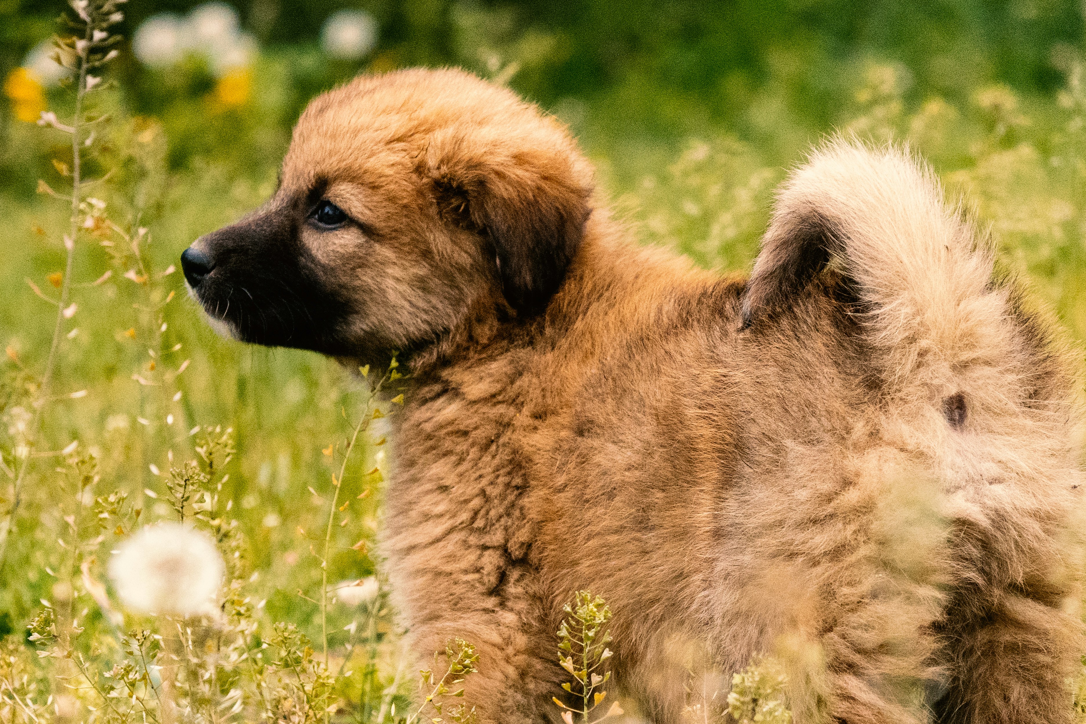 Photo by vatsaltyagi