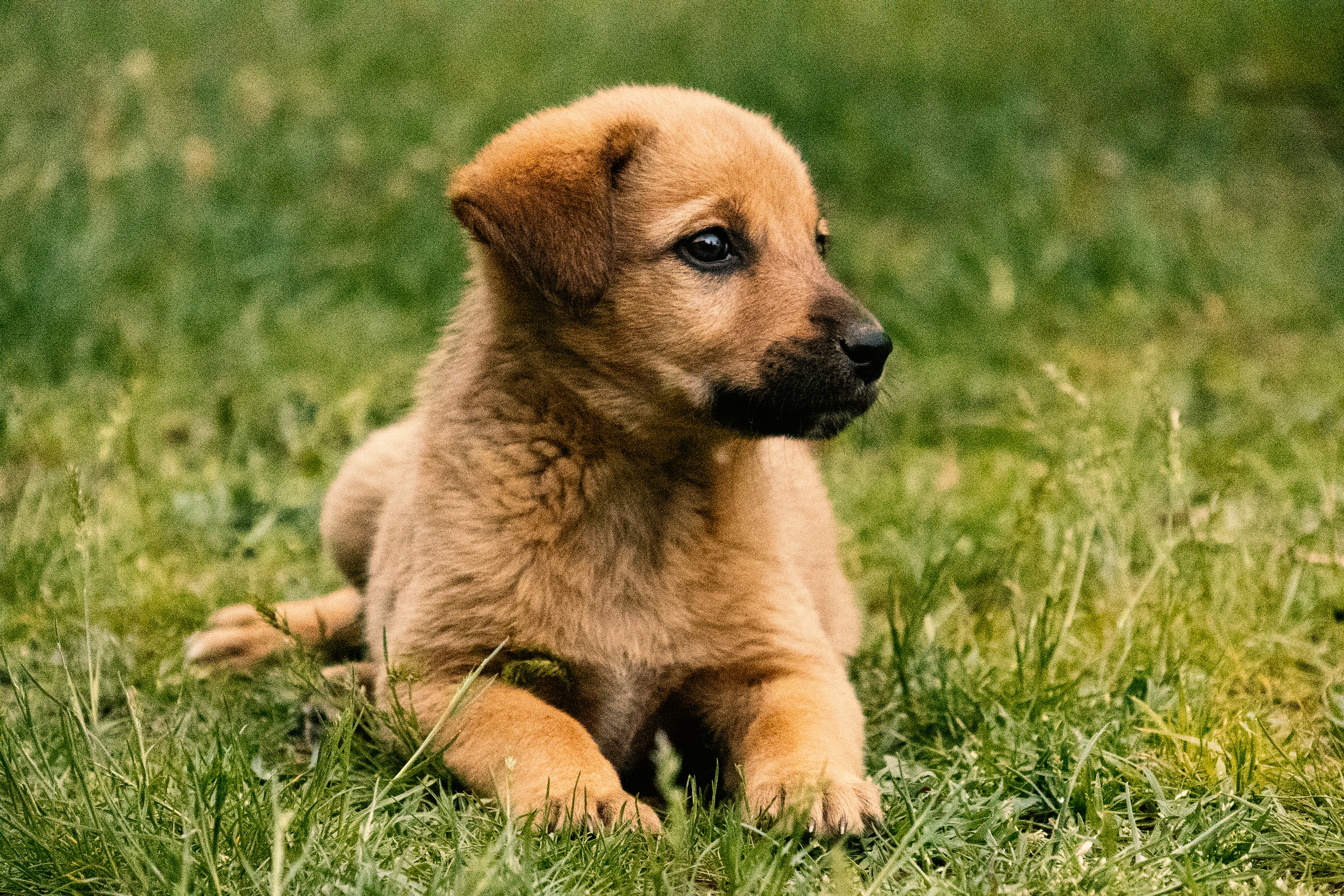 Photo by vatsaltyagi