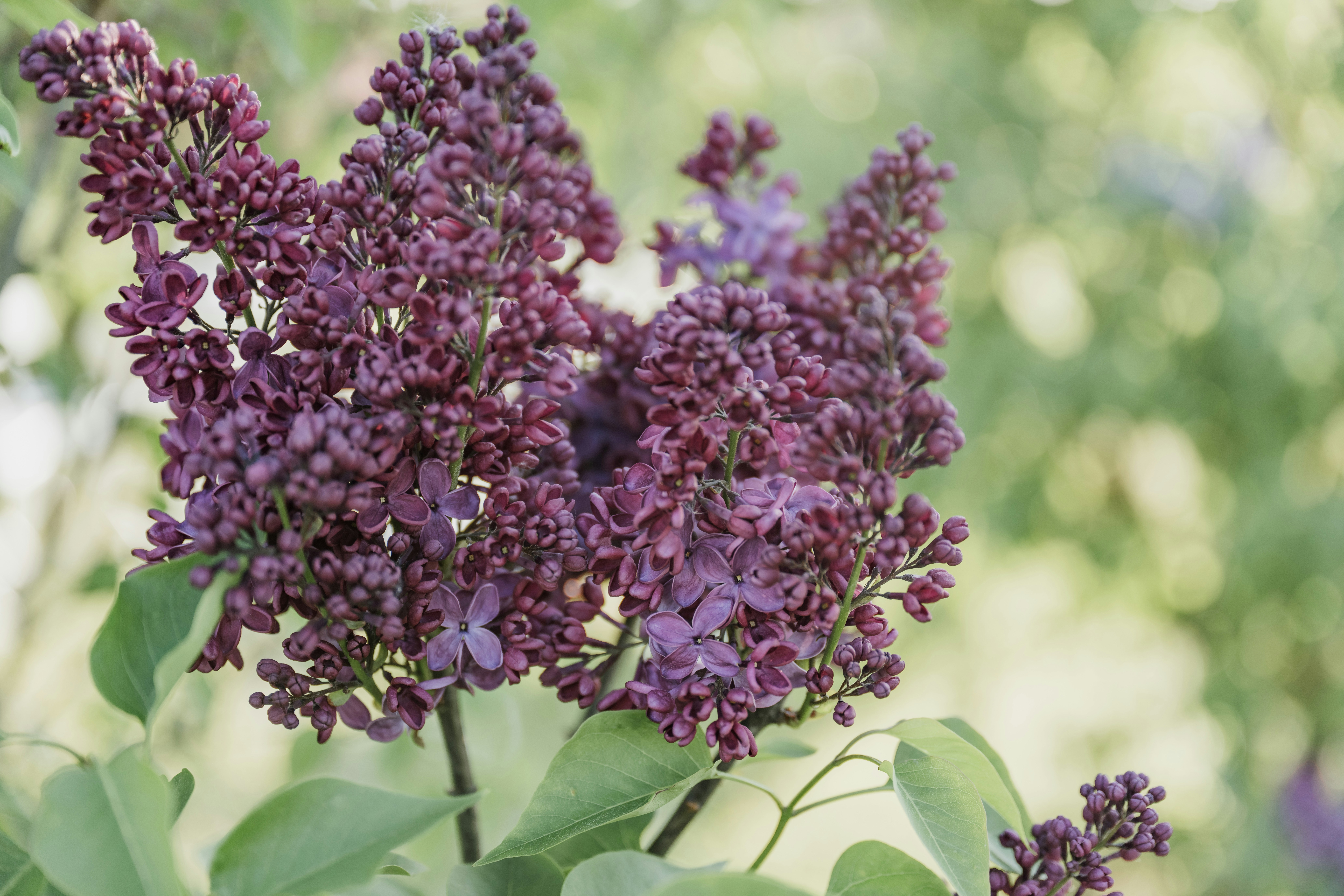 Photo by anitaaustvika