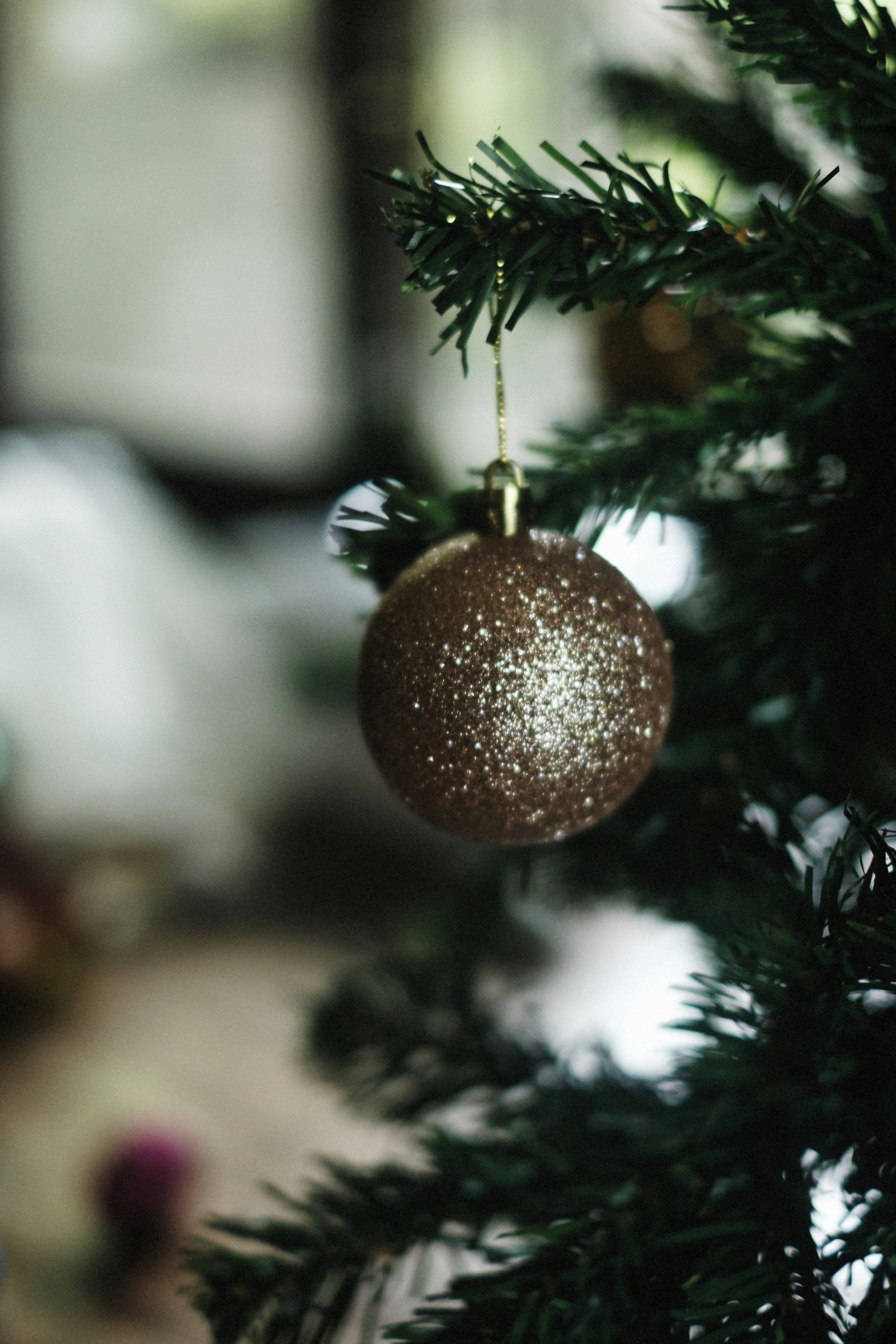 Photo by alexeydemidov