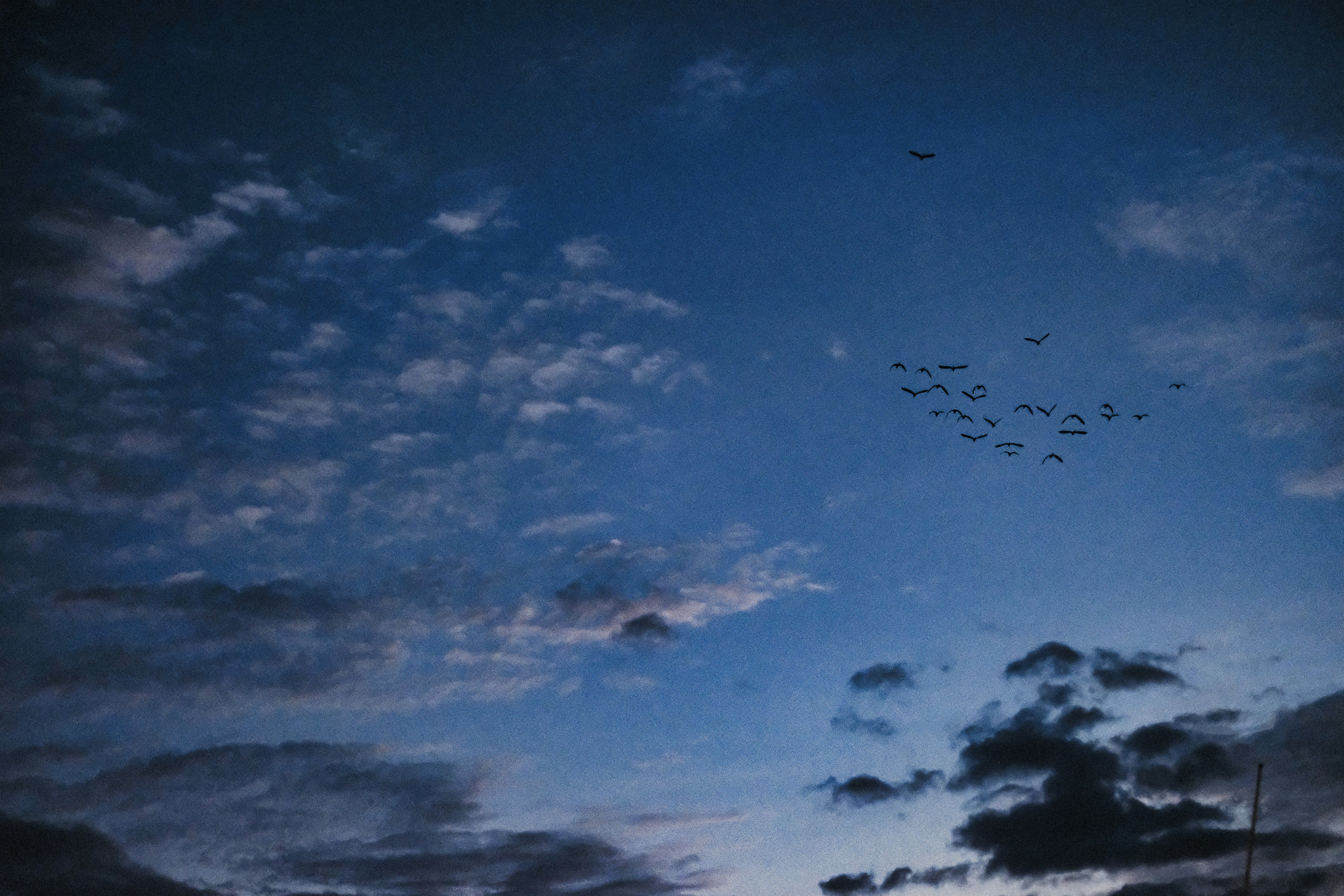 Photo by alexeydemidov