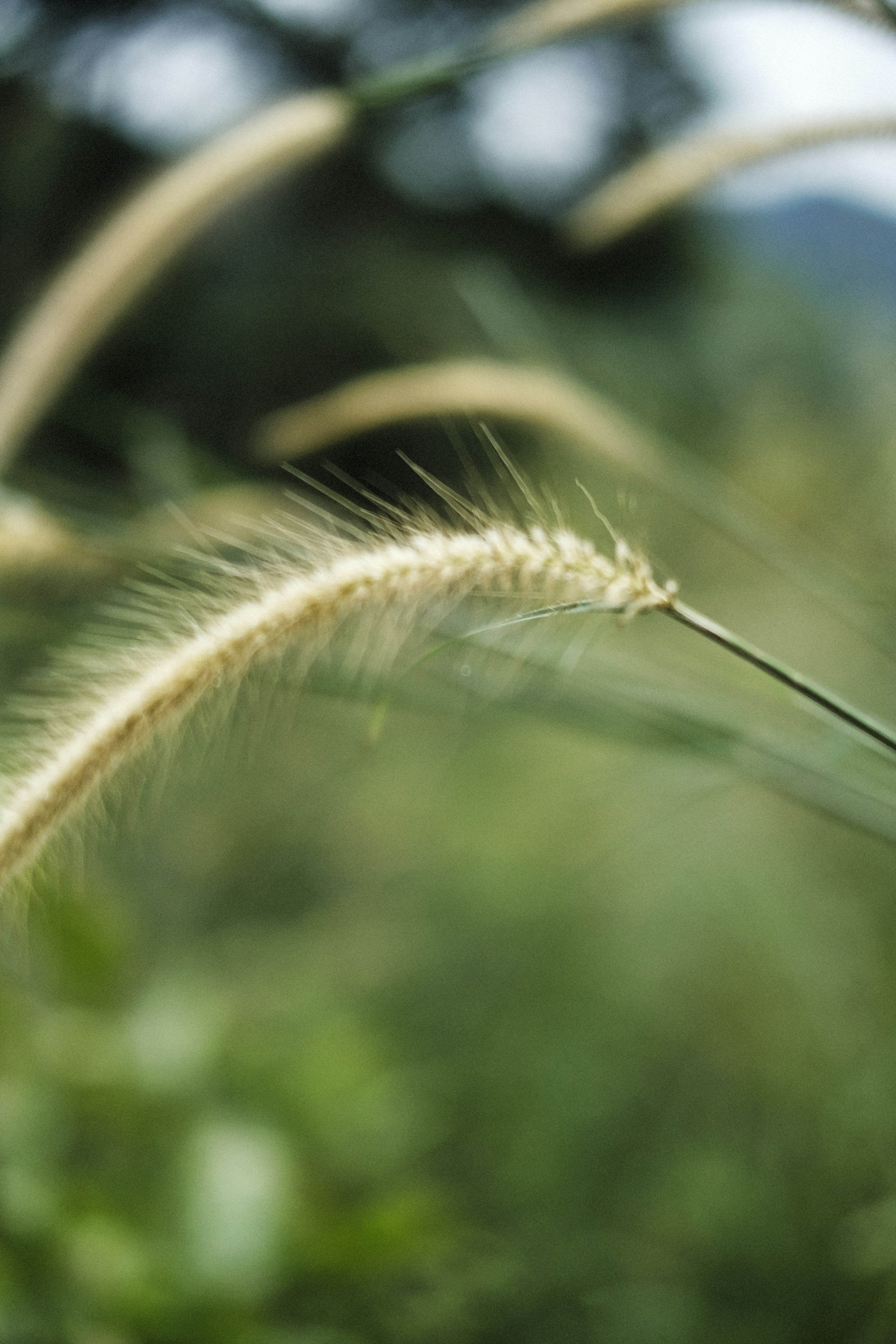 Photo by alexeydemidov