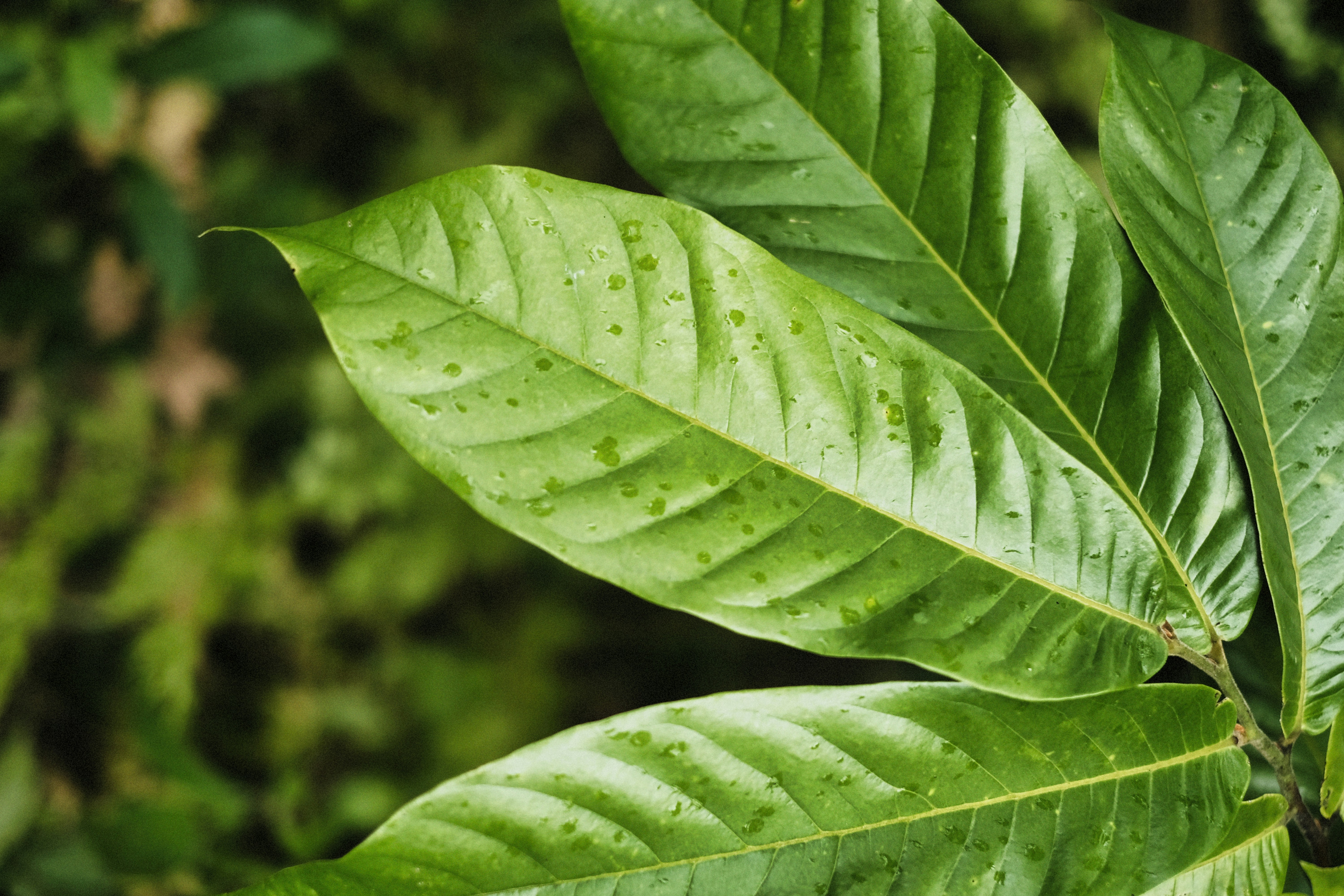 Photo by alexeydemidov