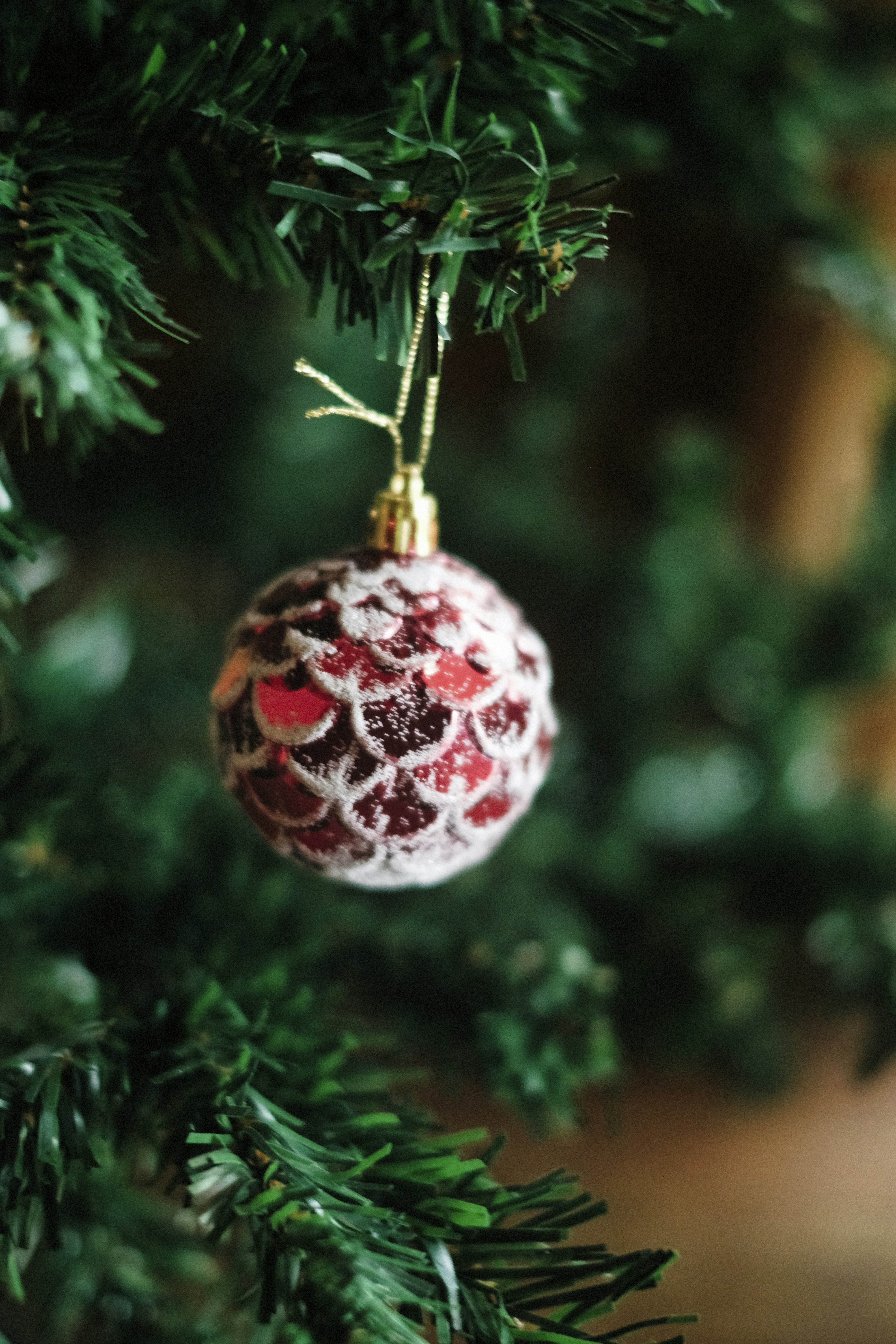 Photo by alexeydemidov