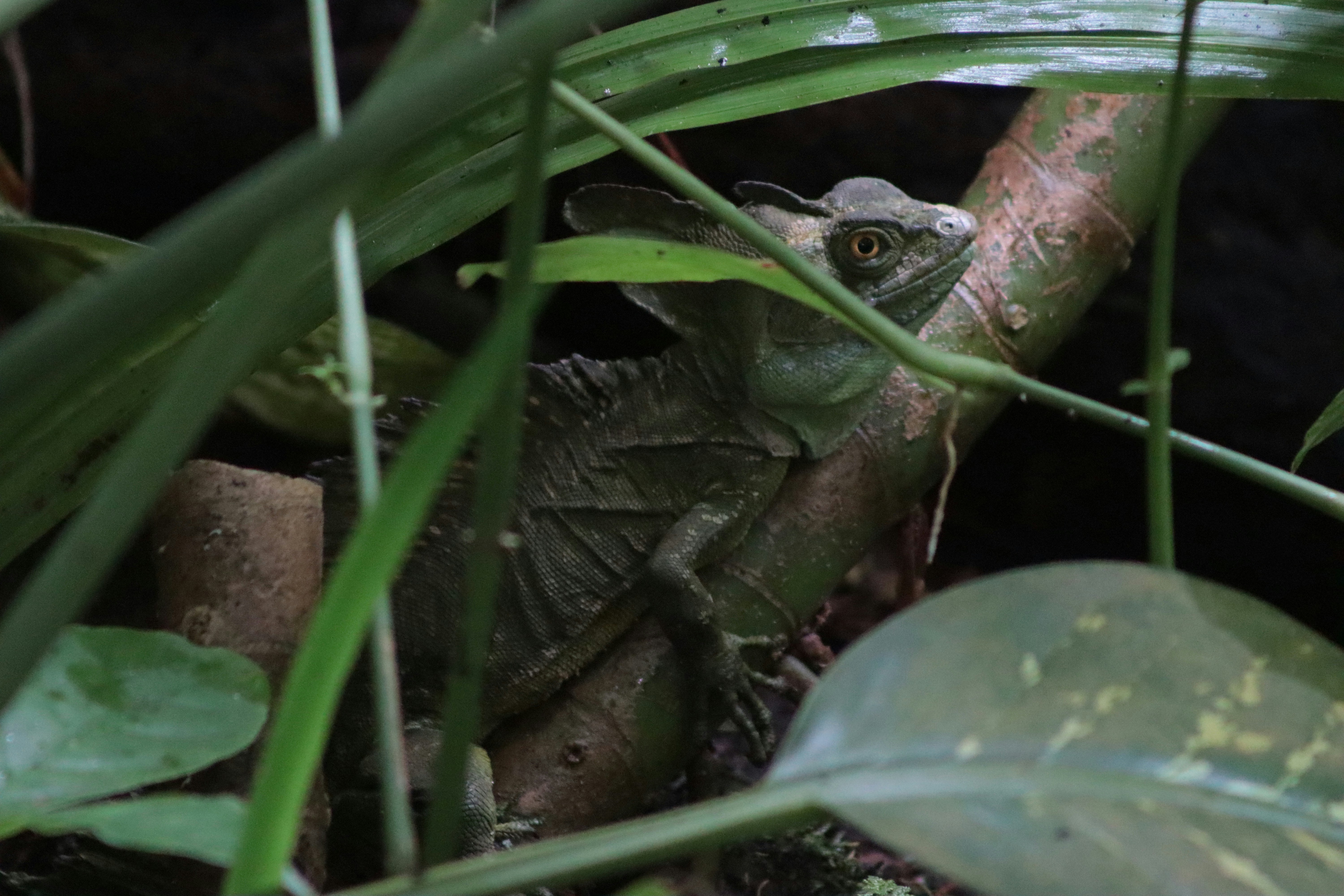 Photo by kccreations