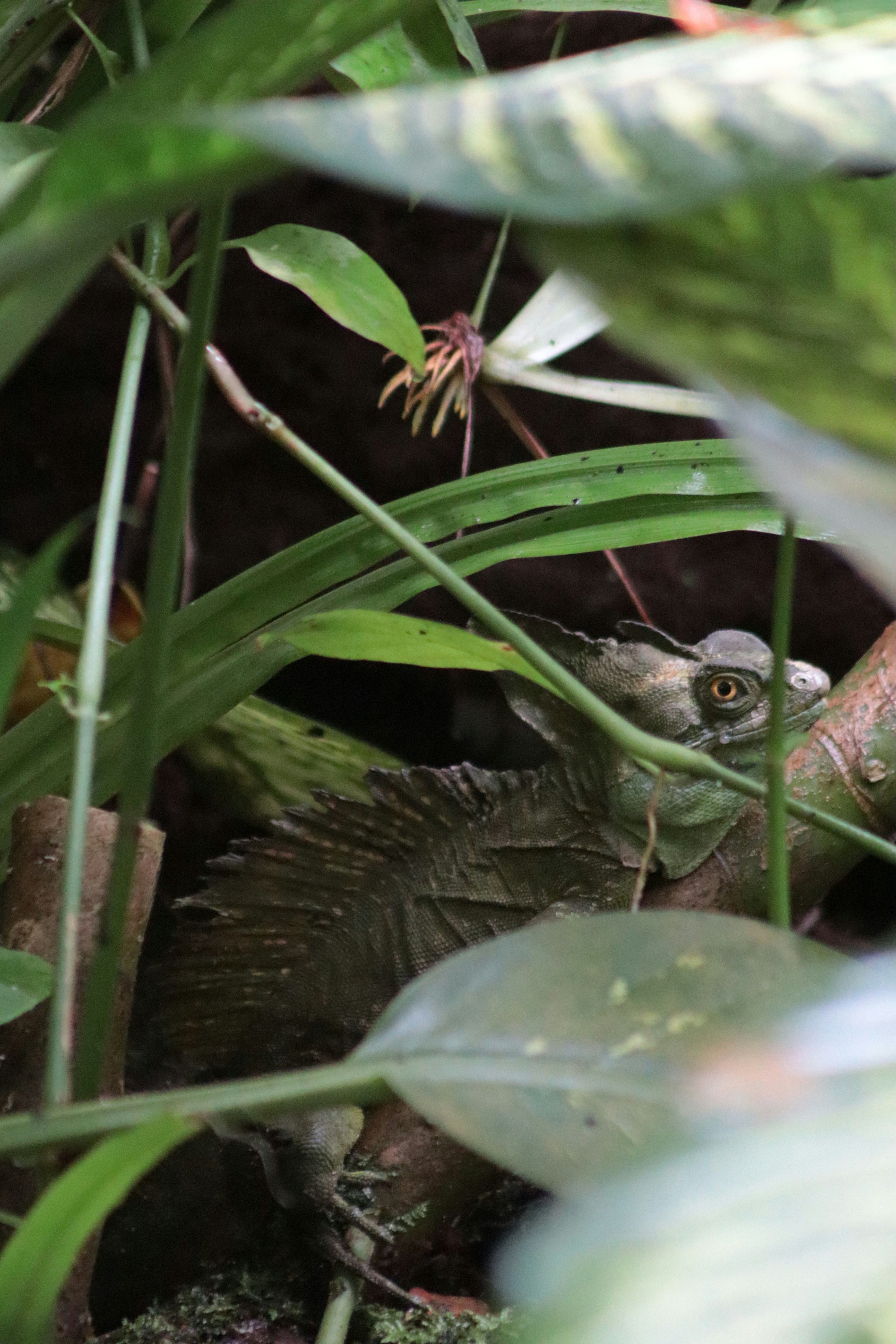 Photo by kccreations