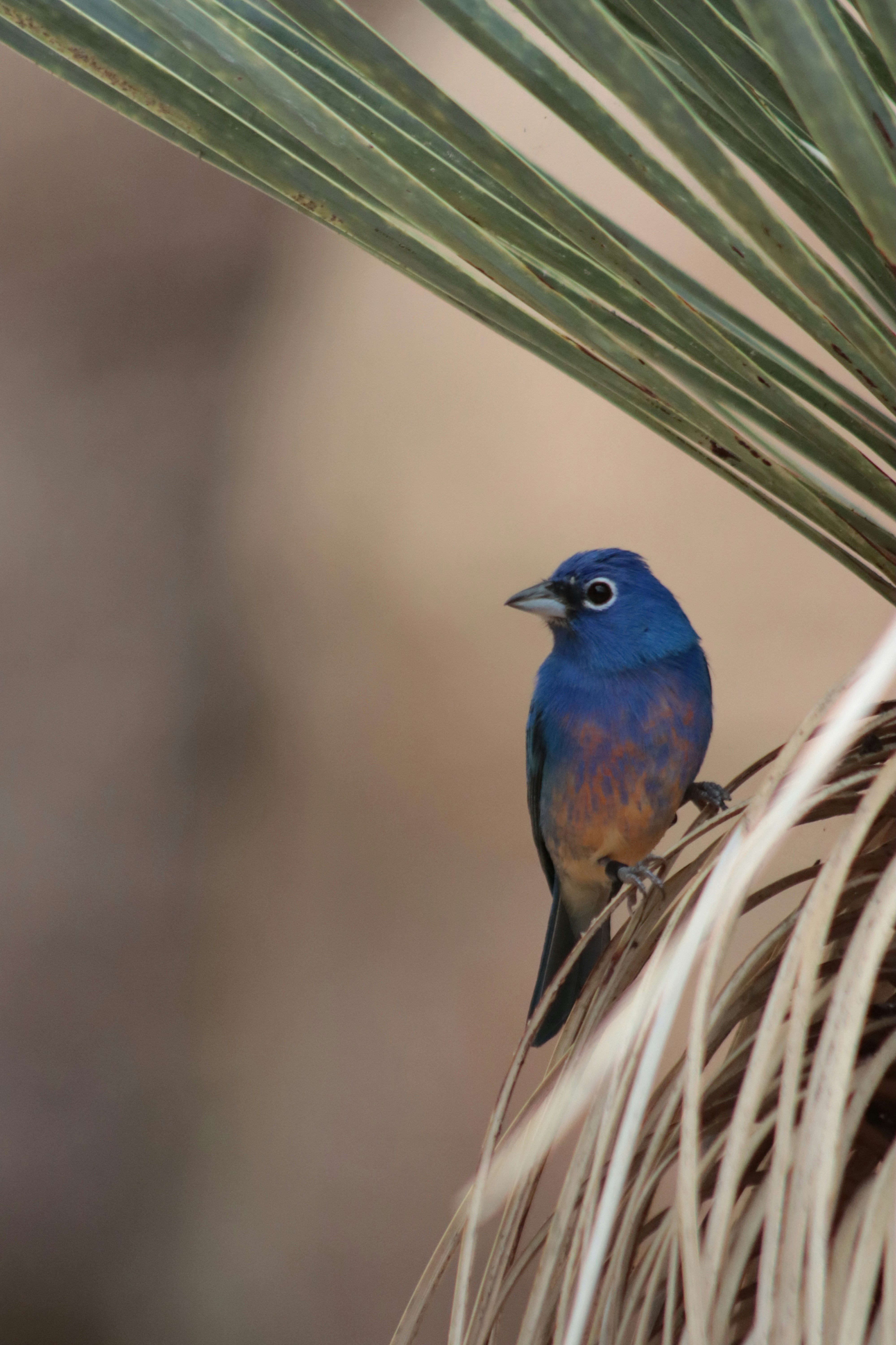 Photo by kccreations